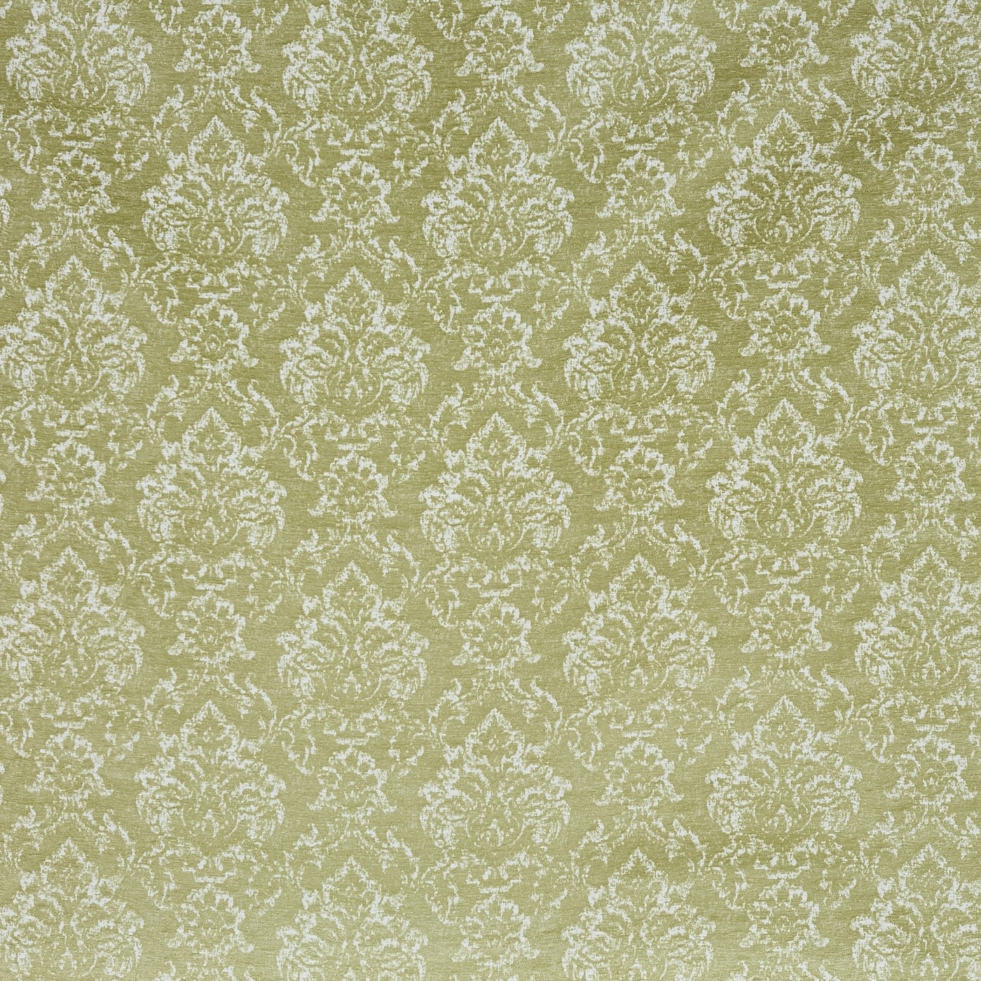Taunton Leaf