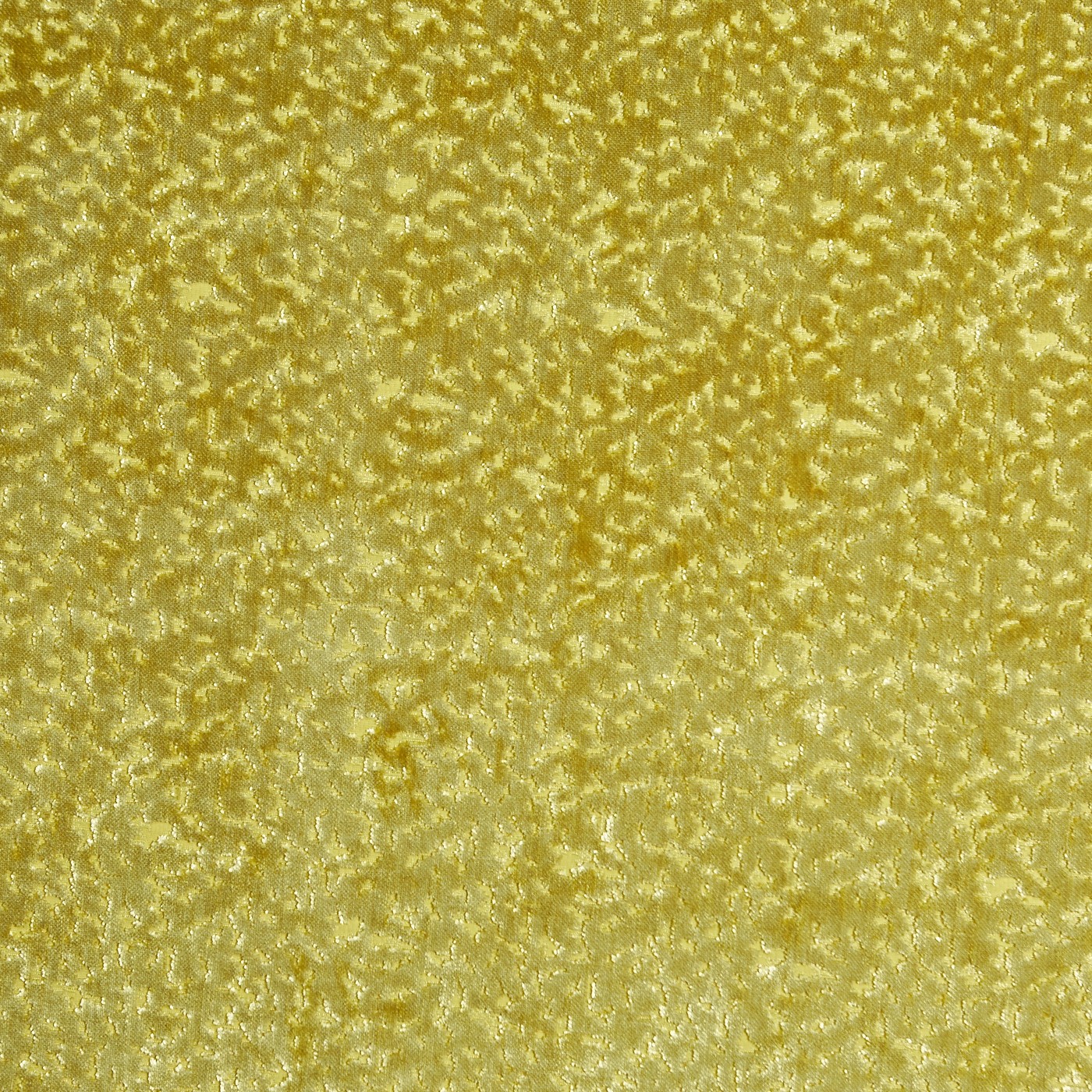 Pharaoh Citron