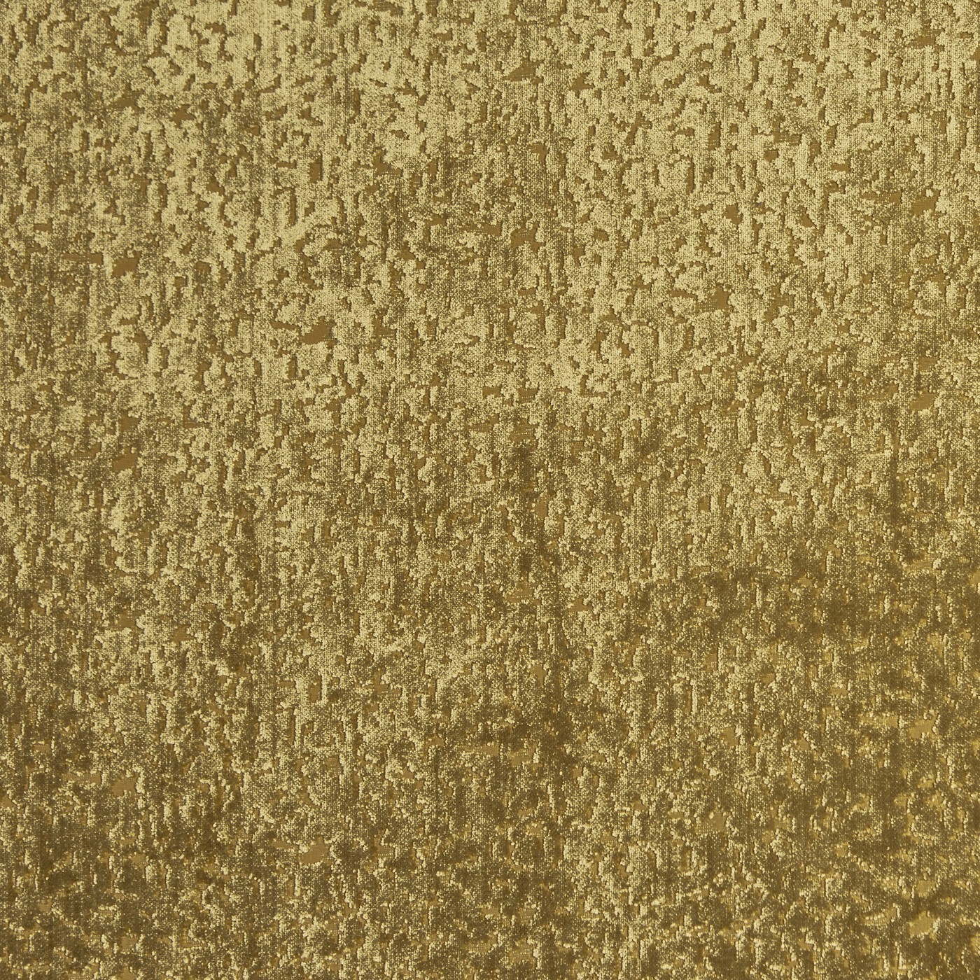 Pharaoh Willow