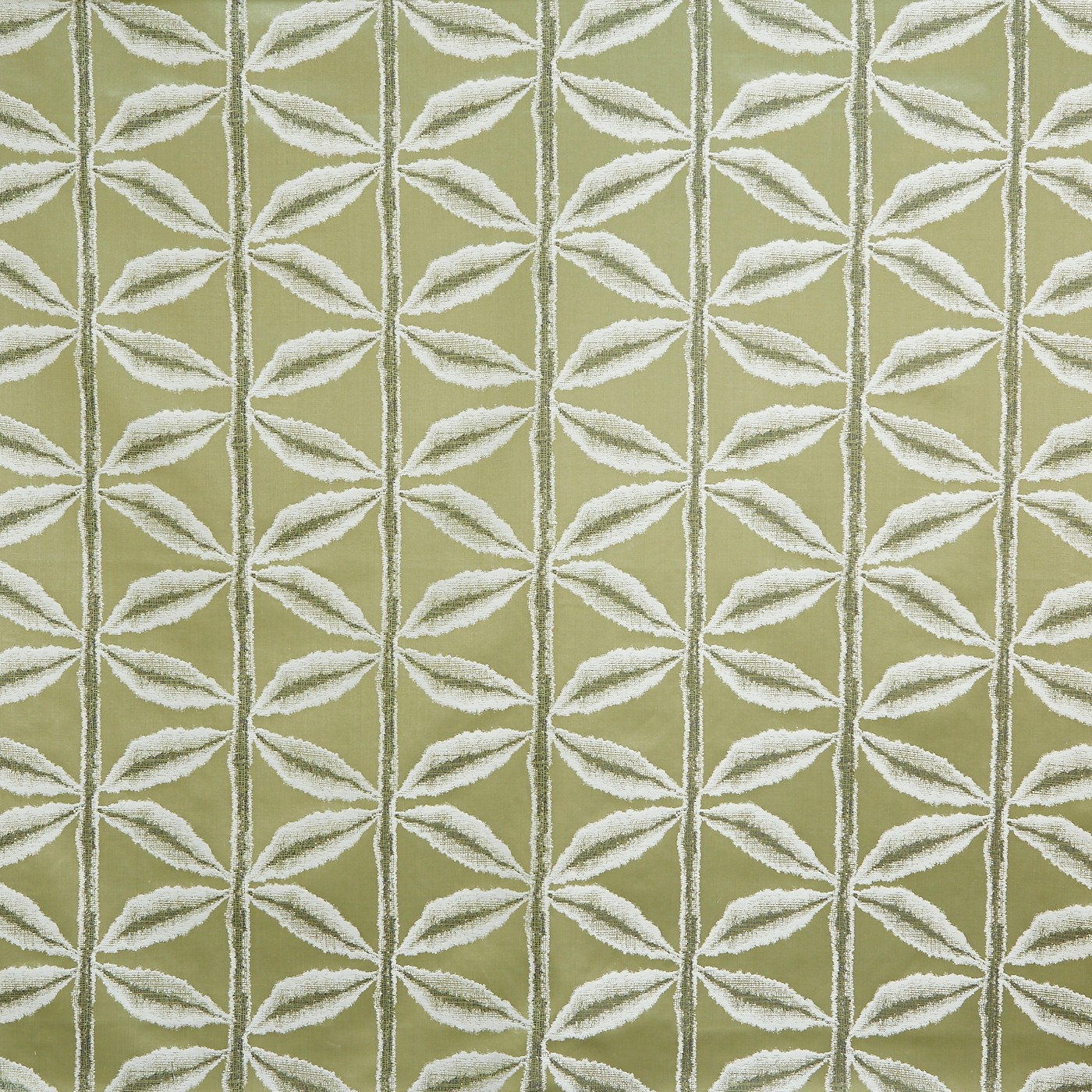 Palm Olive