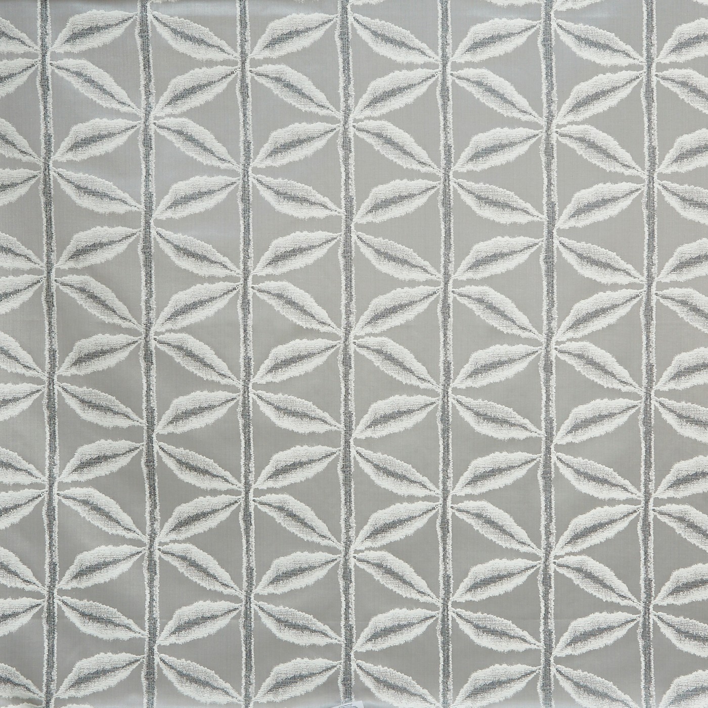 Palm Mist
