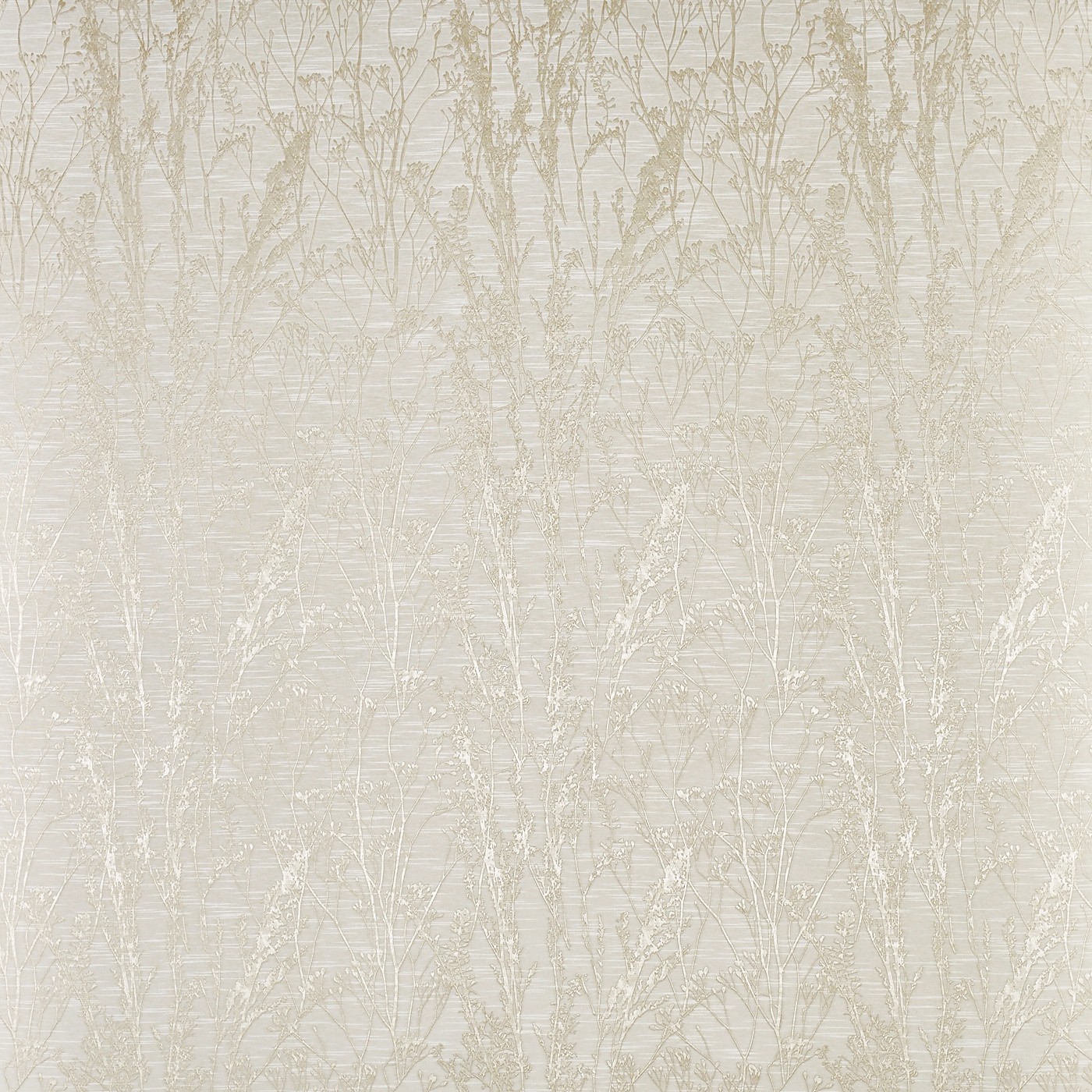 Kiku Alabaster