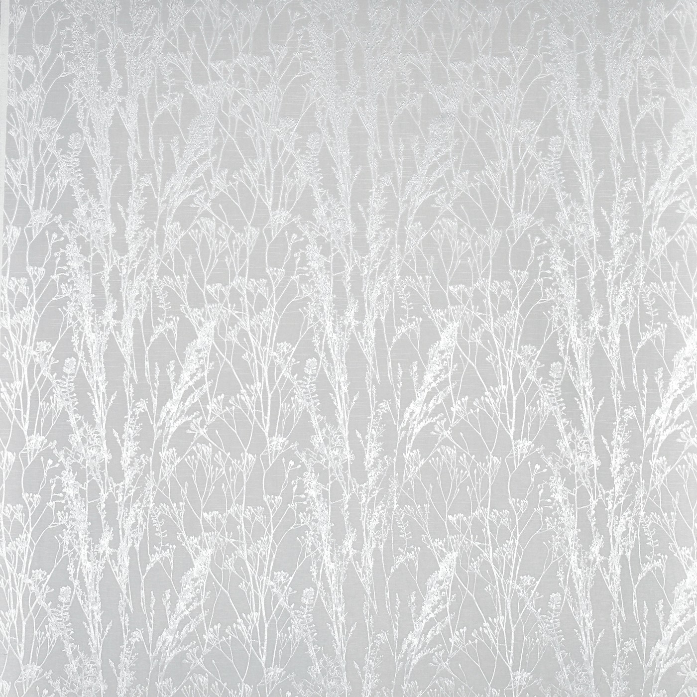 Kiku Chrome