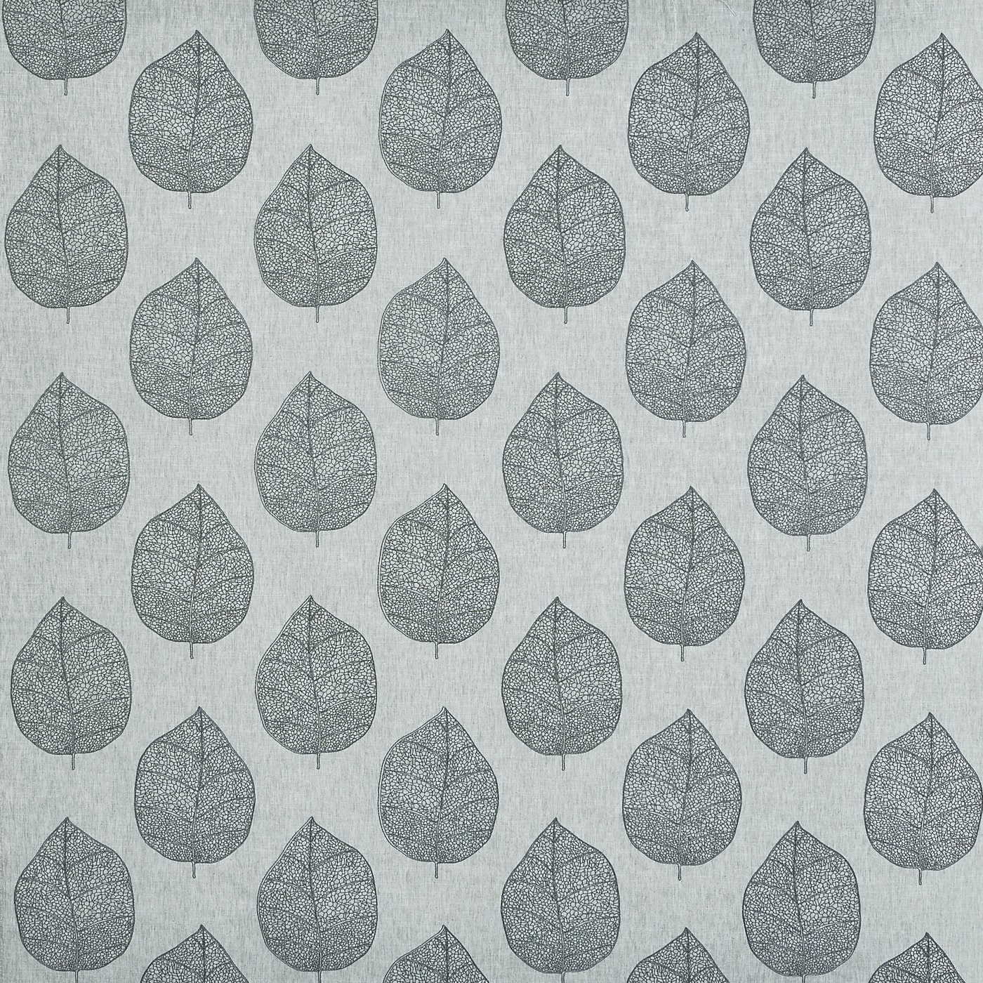 Sorano Carbon