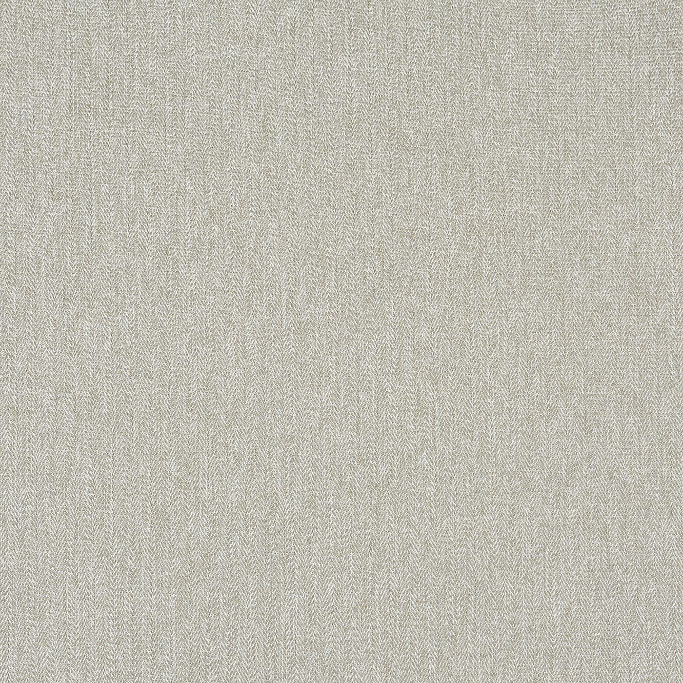 Flynn Angora