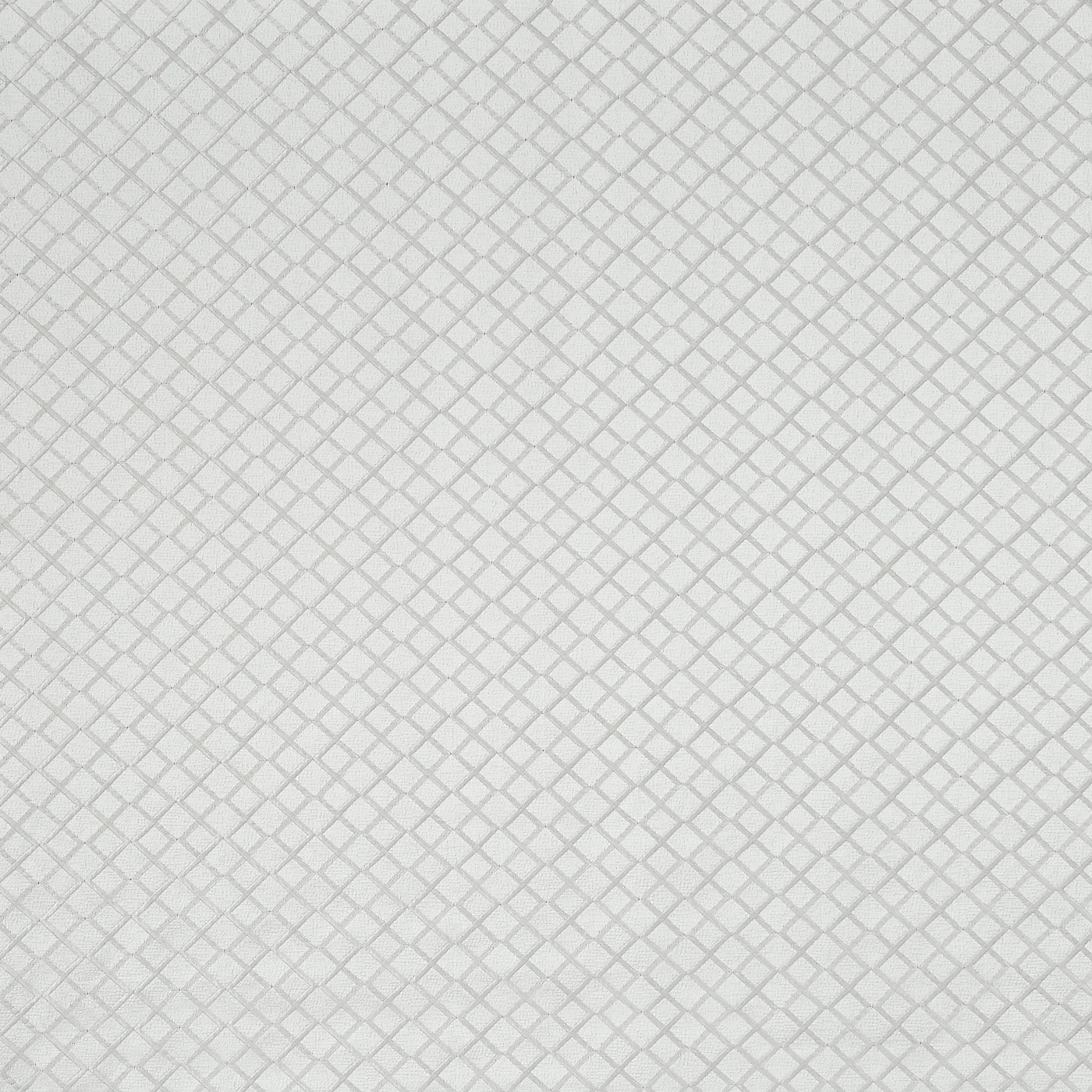 Magnasco Ivory
