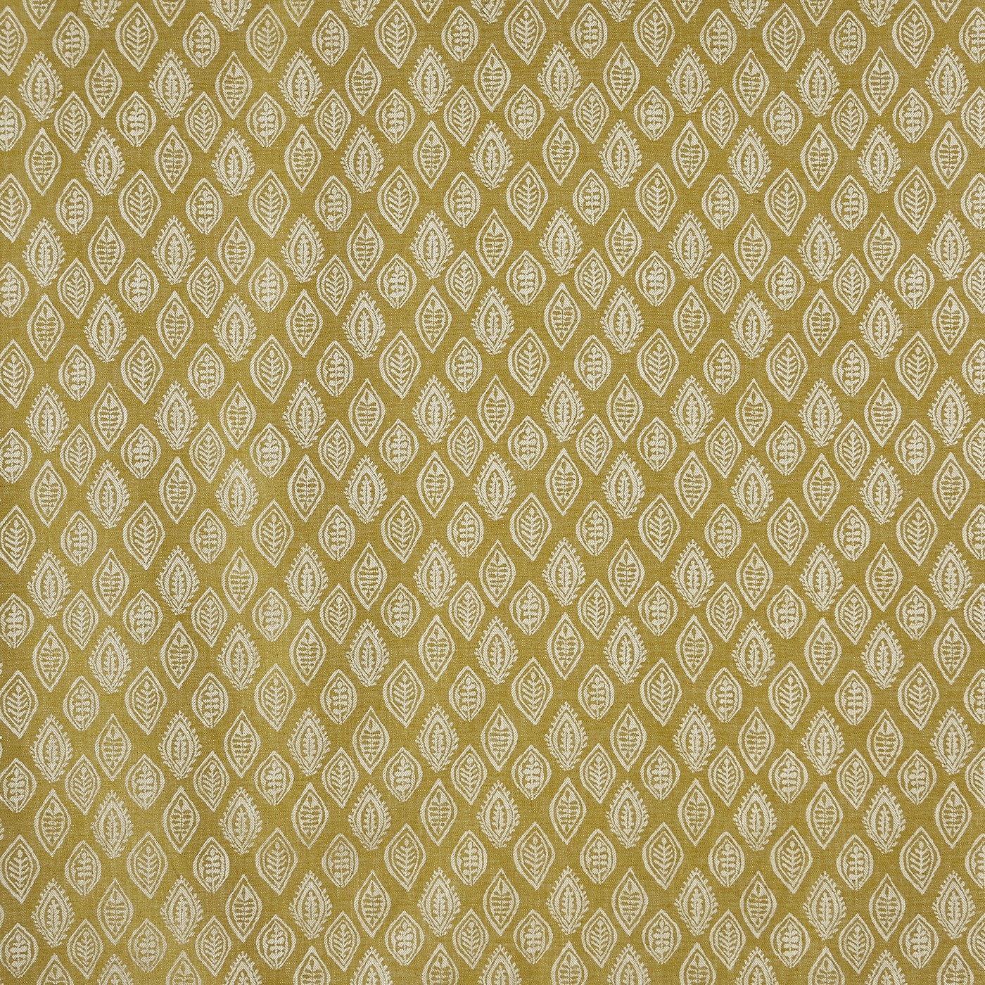 Millgate Kiwi