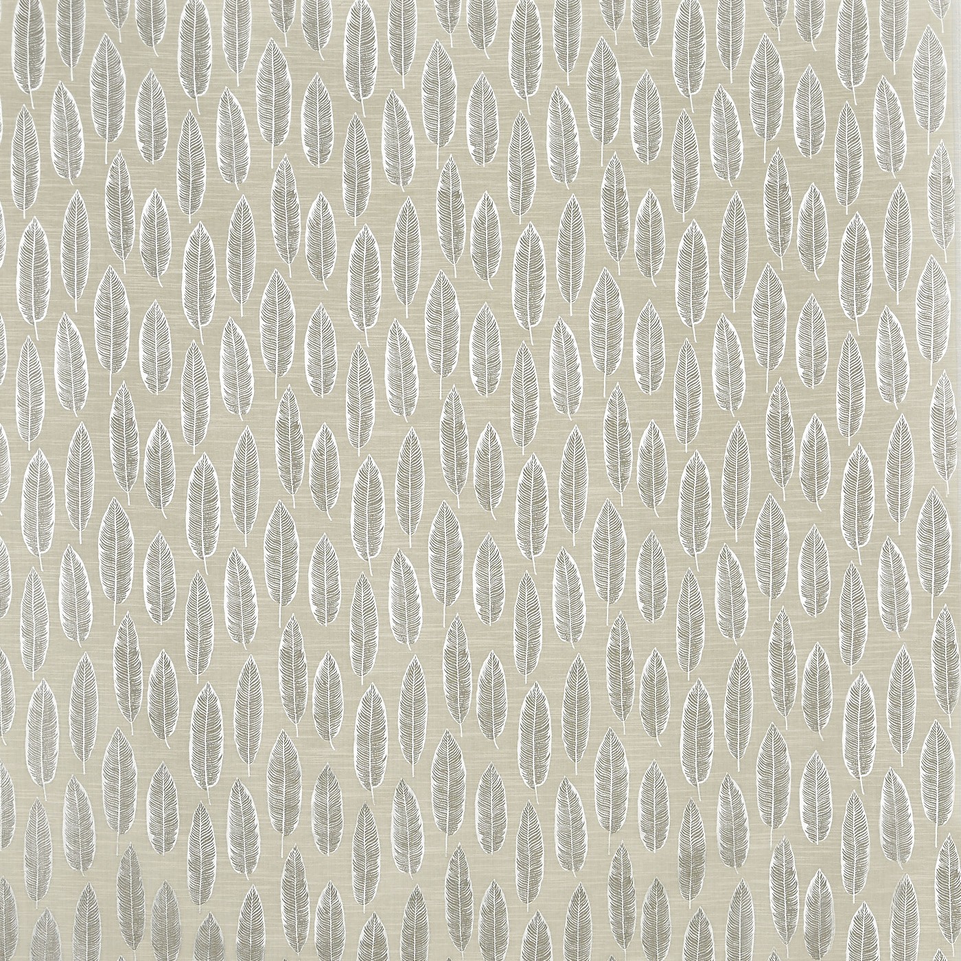 Quill Parchment