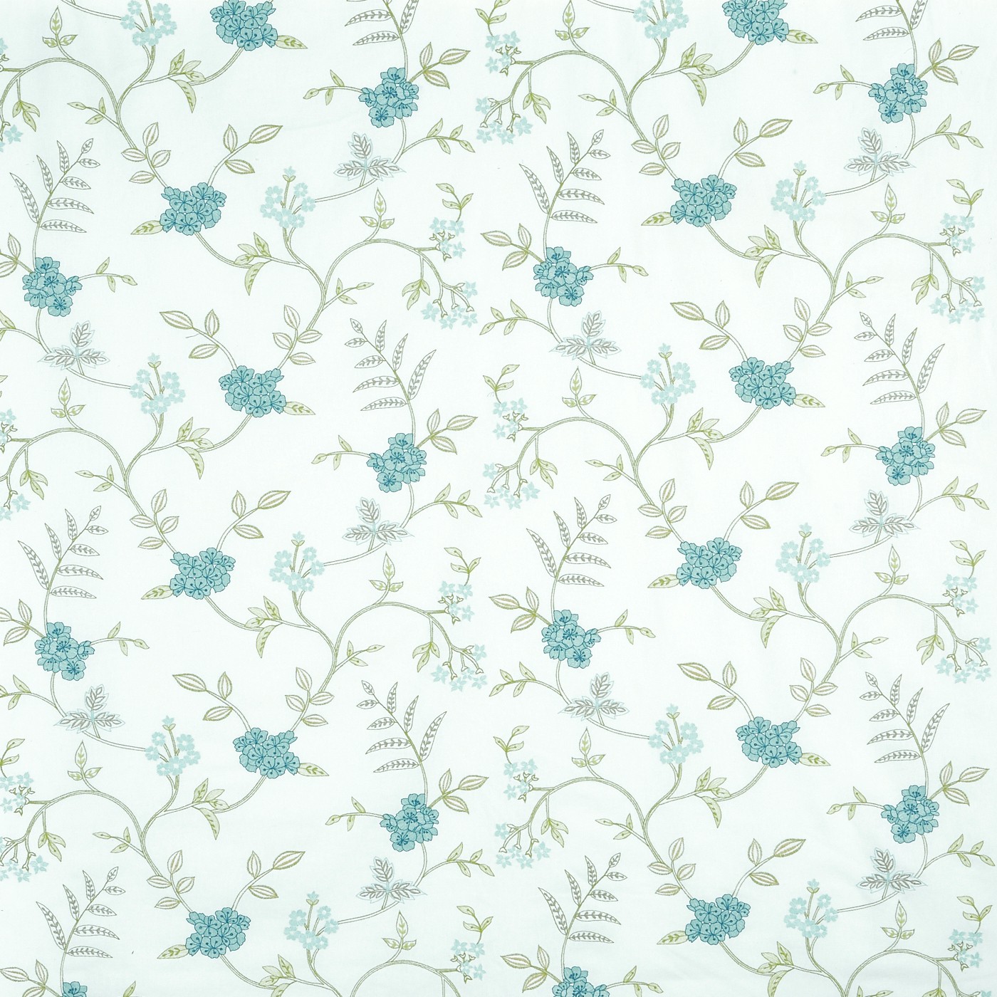 Bella Lichen