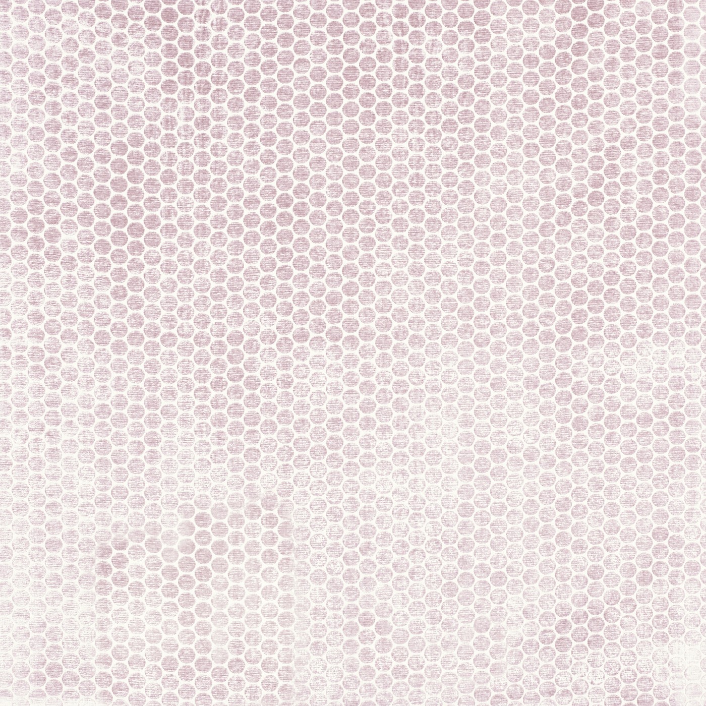 Moon Rose Dust
