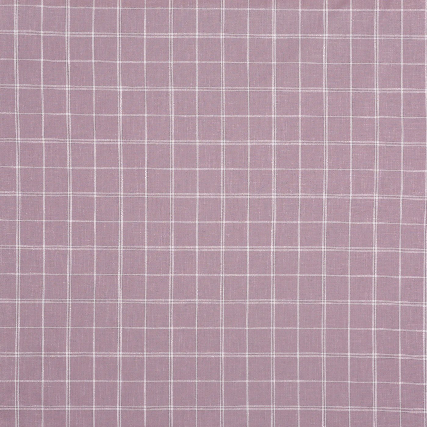Boston Lilac