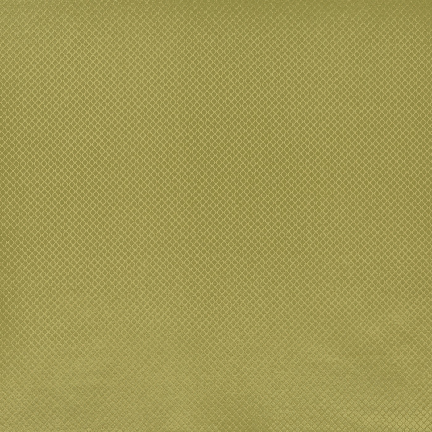 Charleston Olive