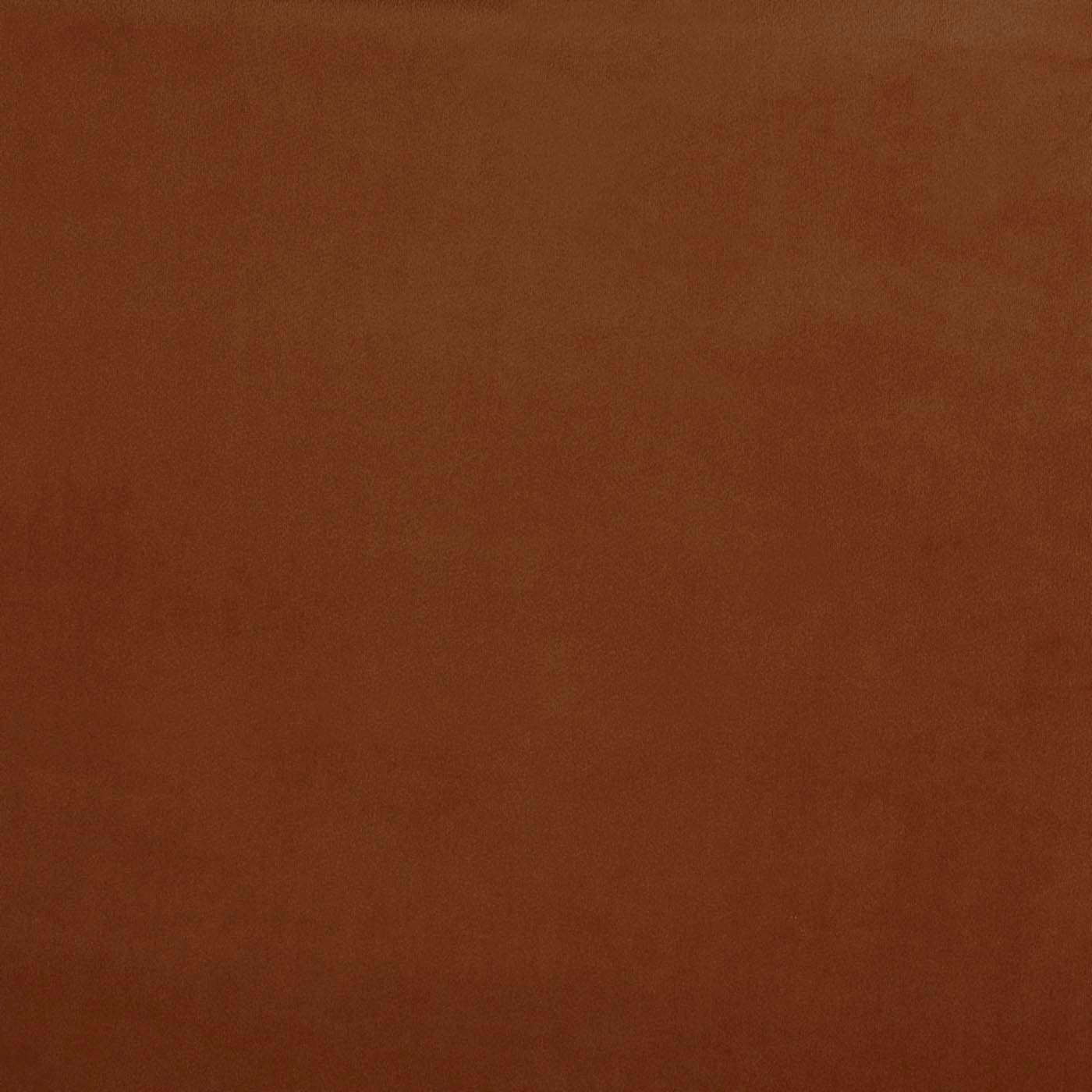 Belgravia Cinnamon