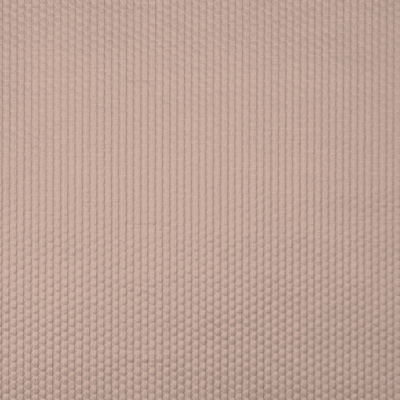 Emboss Shell