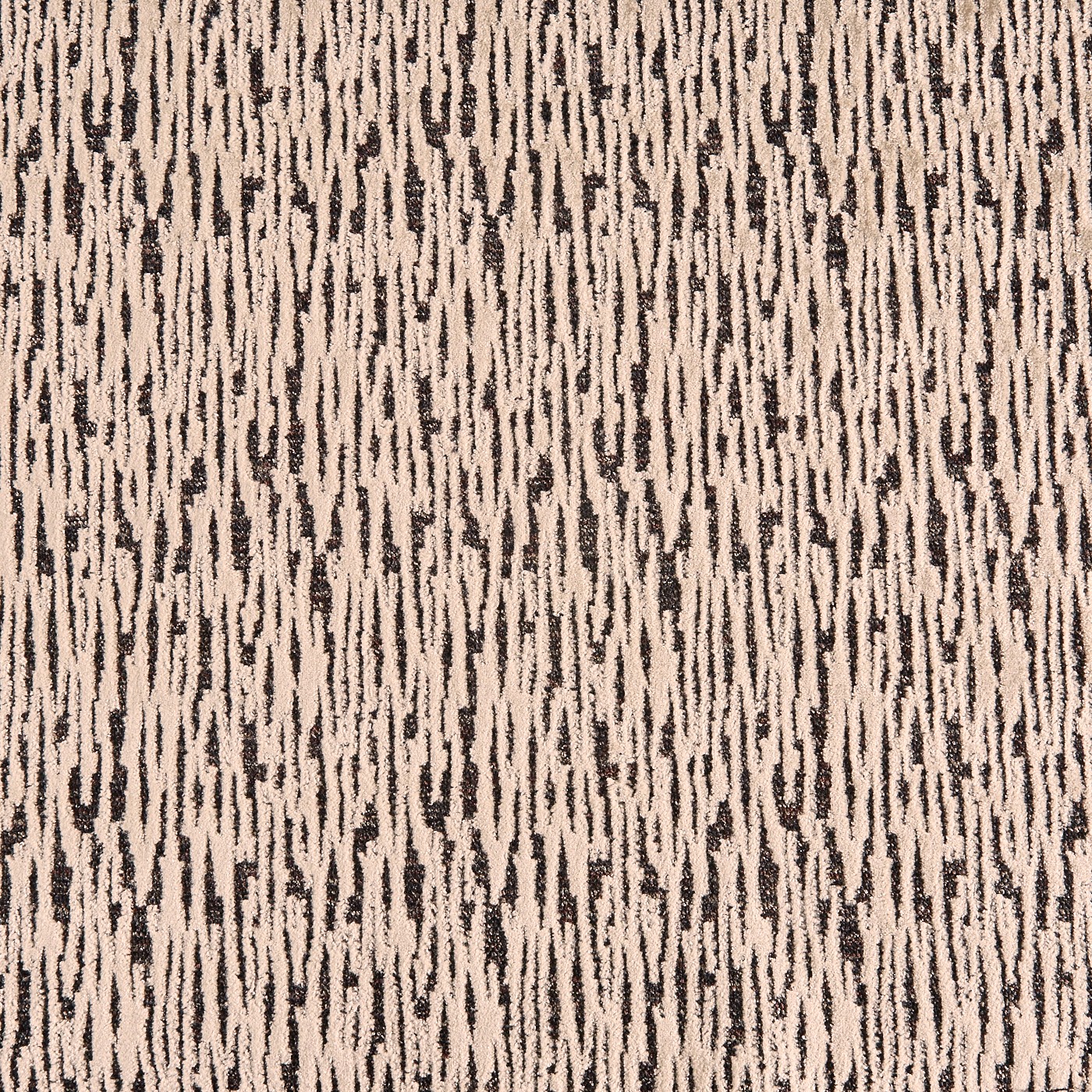 Tectonic Camel