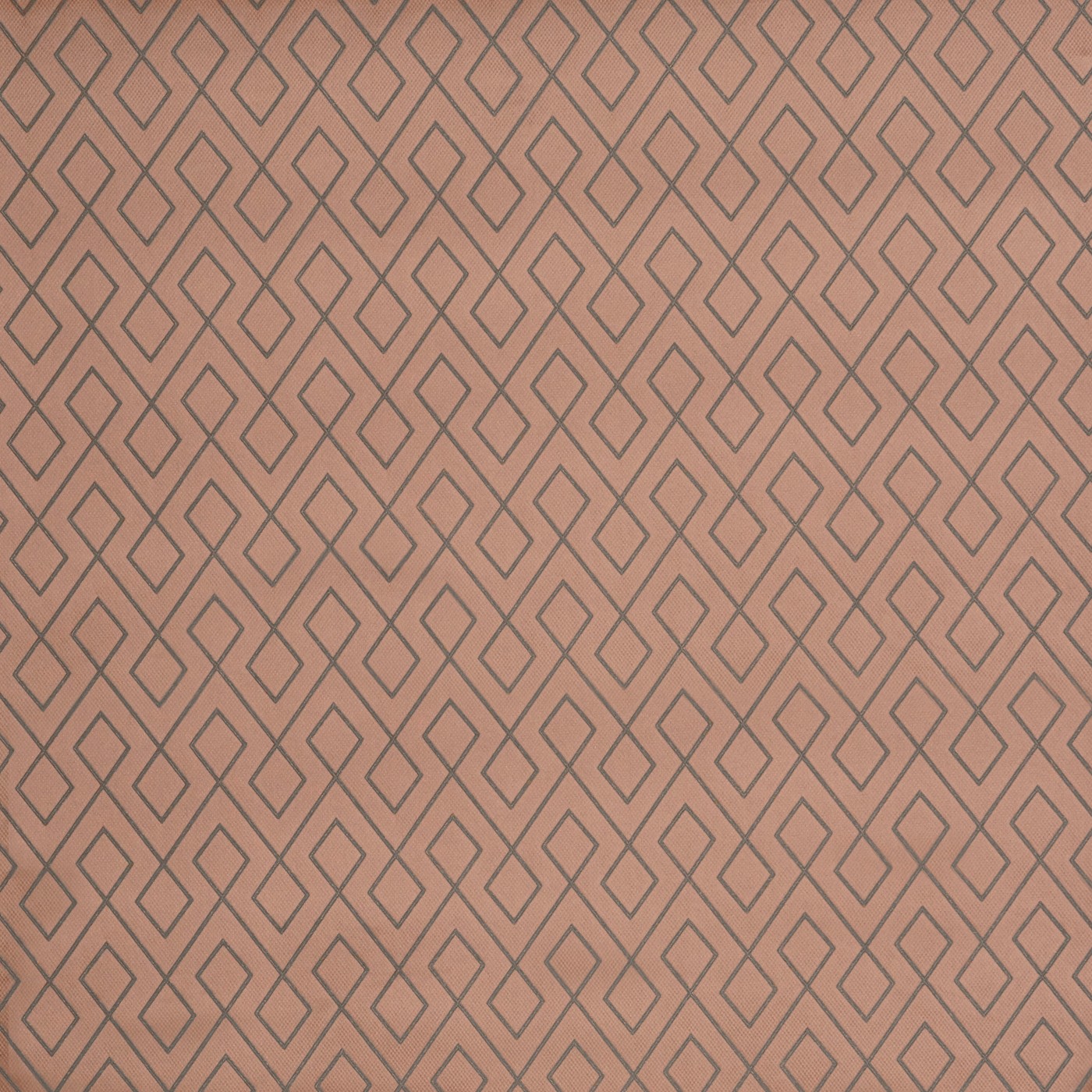 Pivot Rose