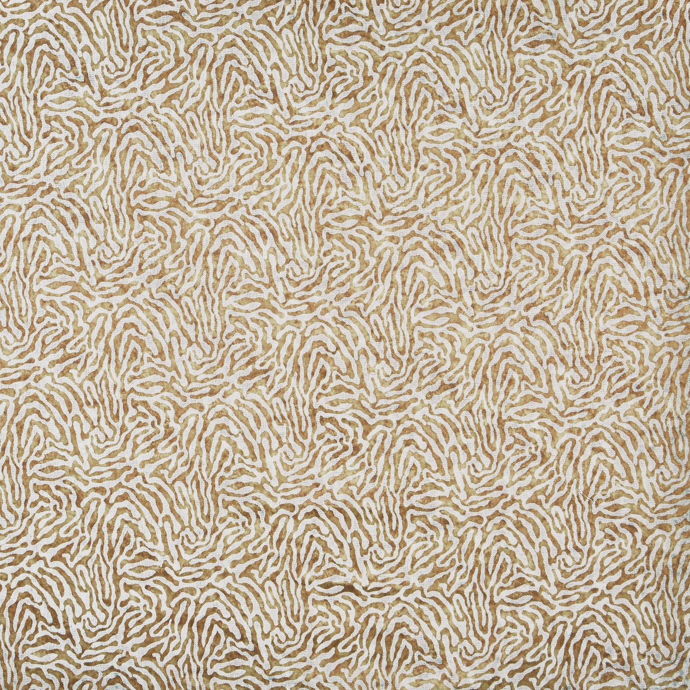Serengeti Sahara