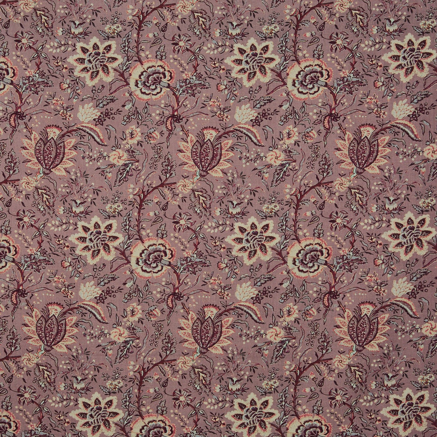 Apsley Woodrose (pts100)