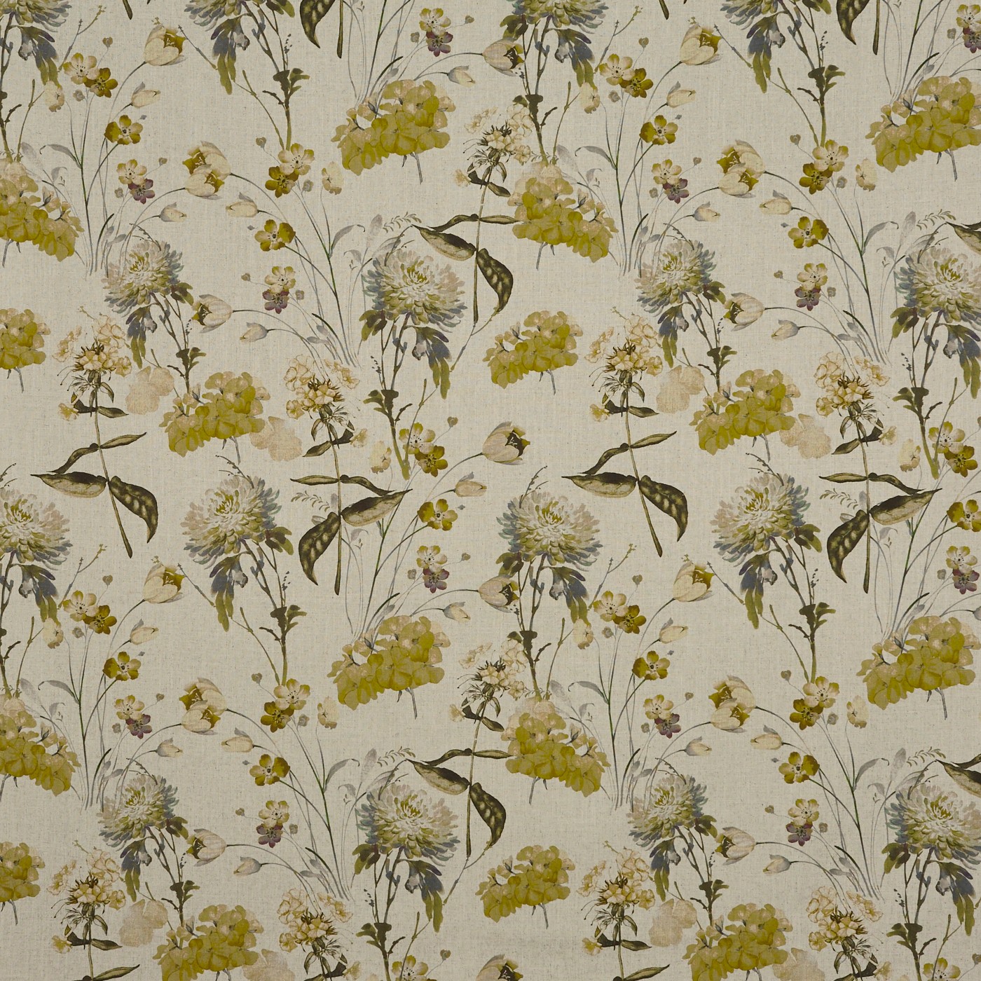 Chiswick Ochre (pts100)