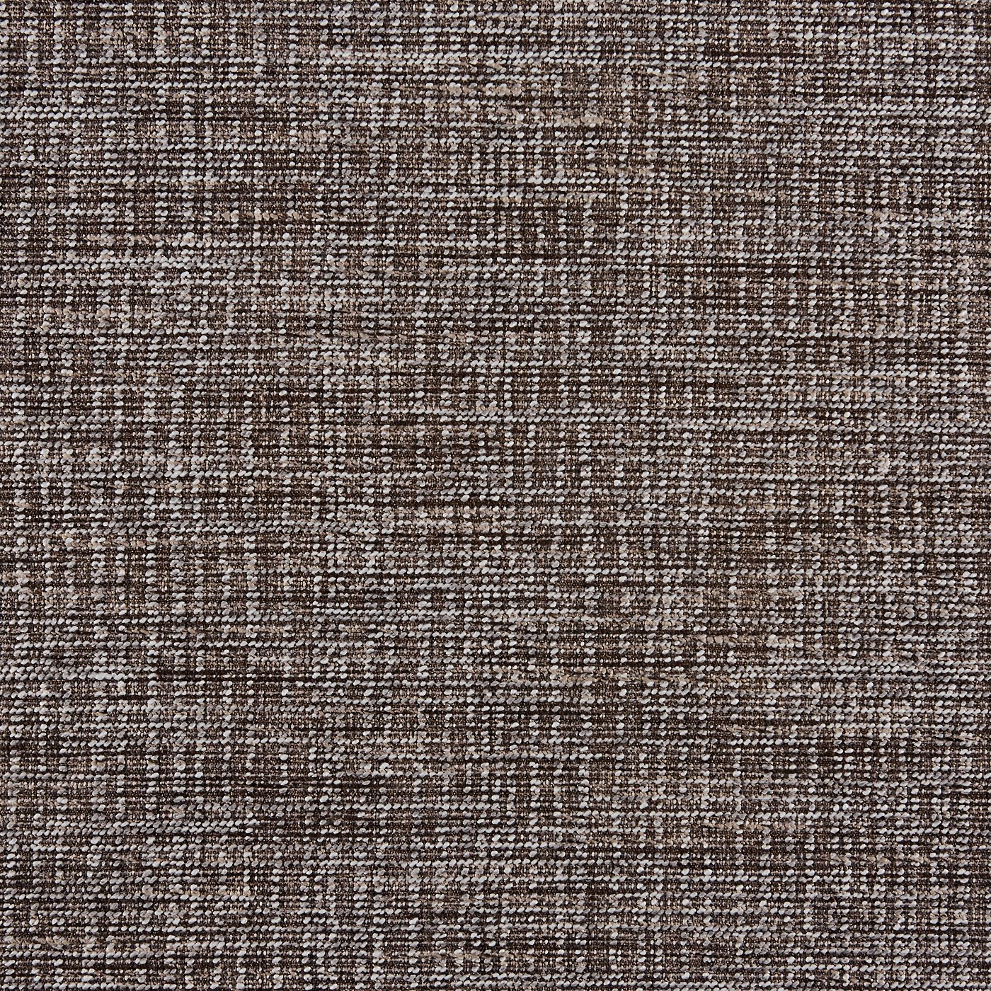 Dolores Charcoal