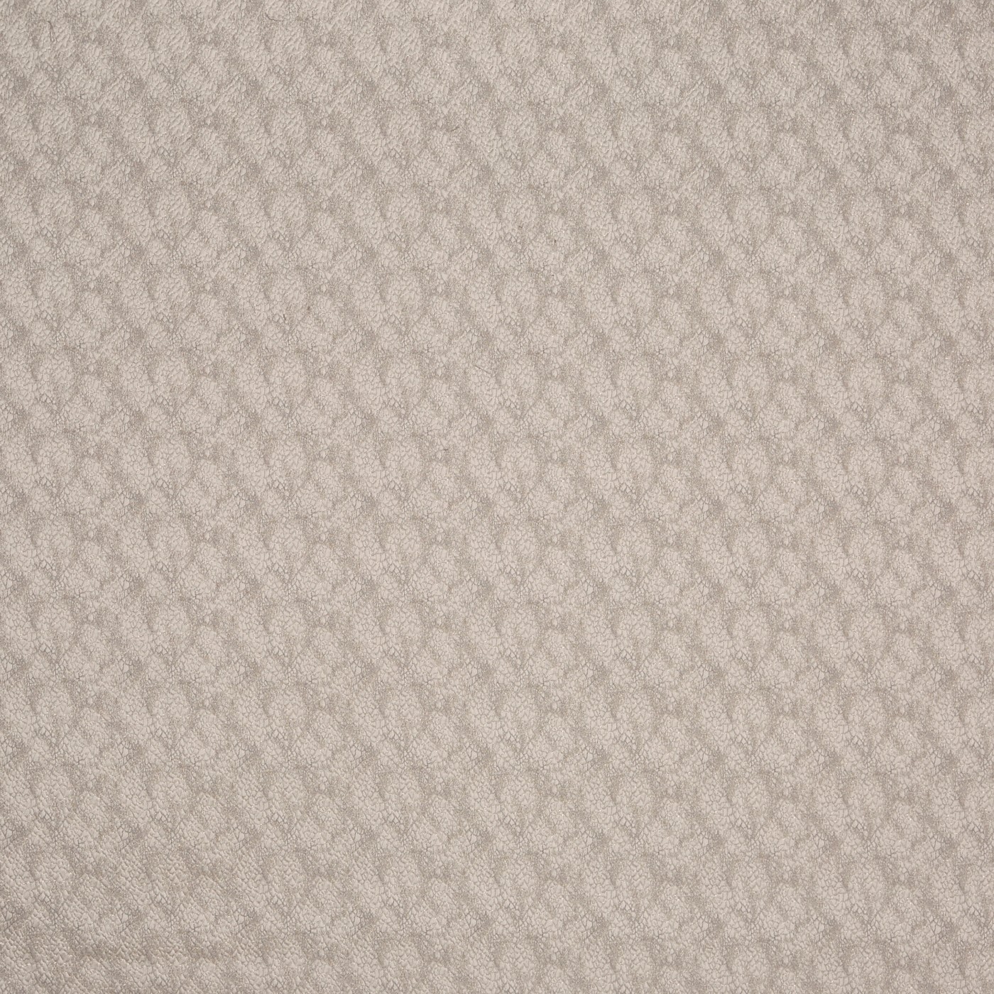 Verity Ivory
