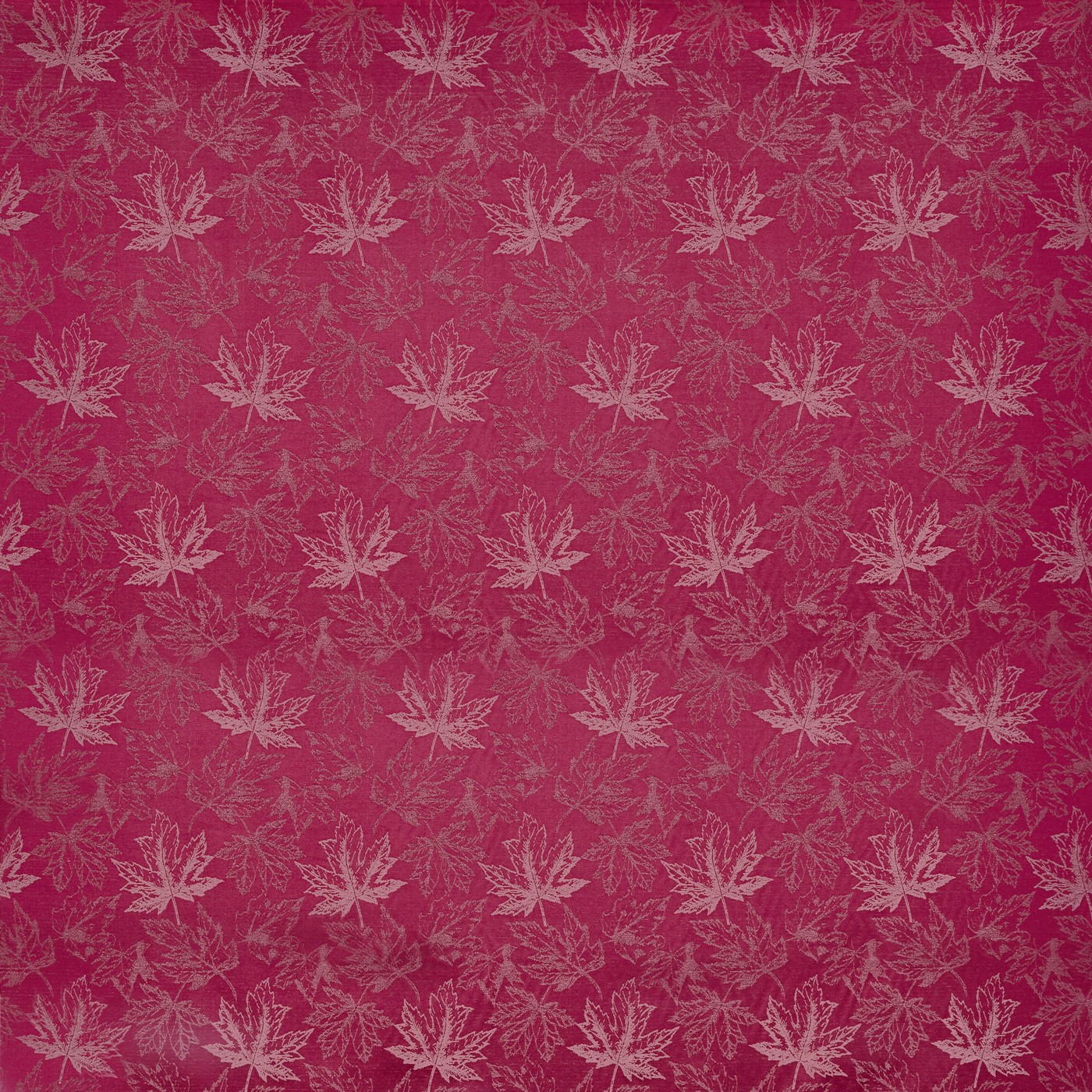 Juniper Fuchsia