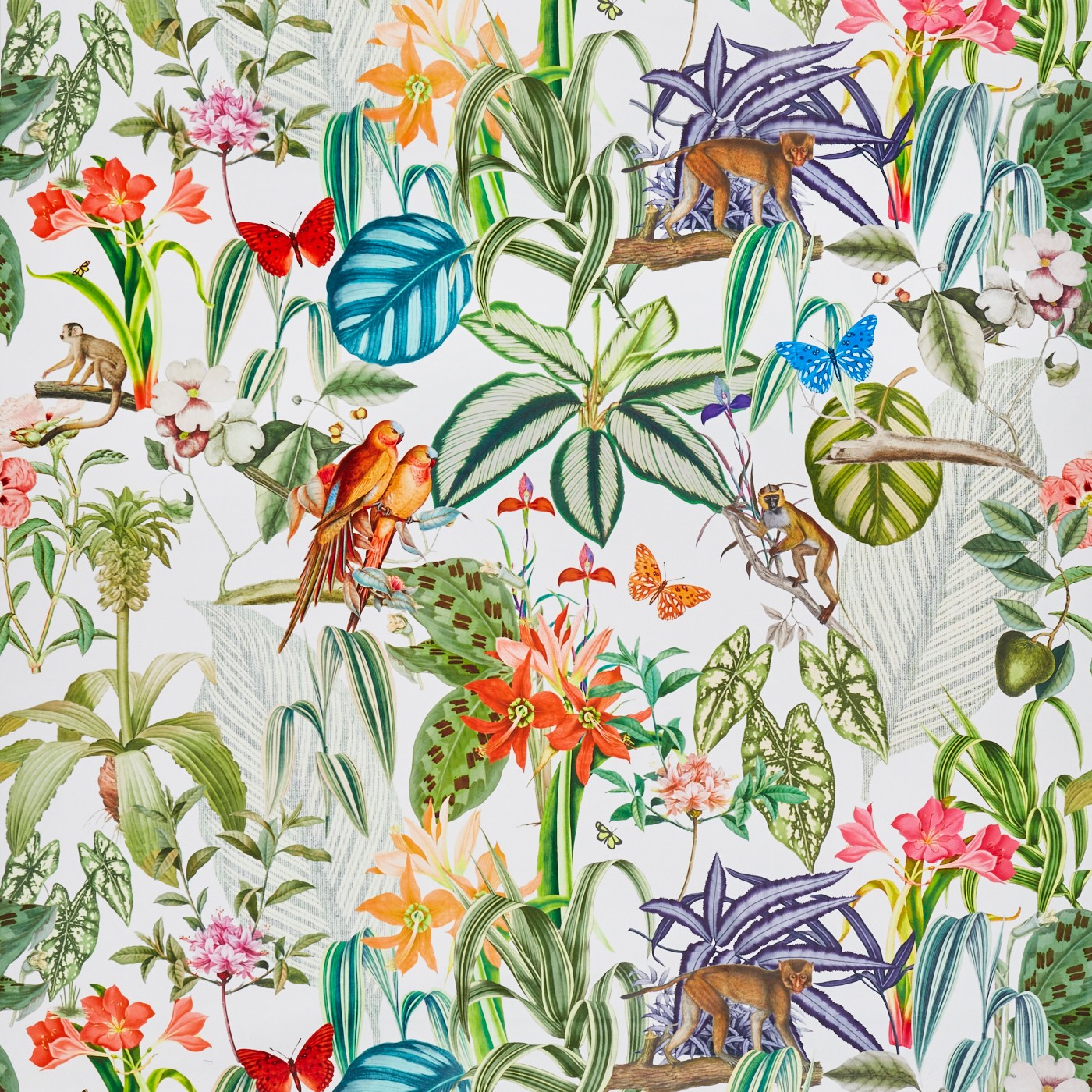Barbados Tropical (pts104)