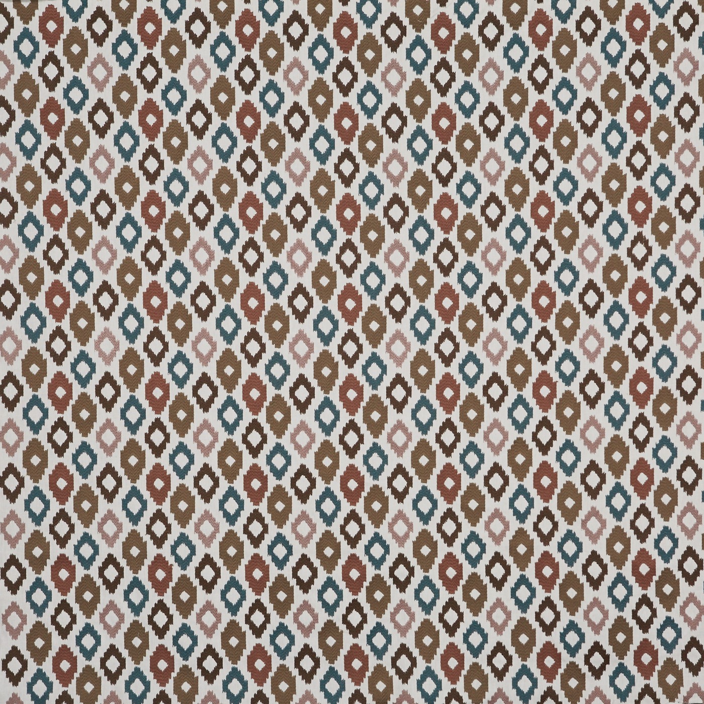 Cassia Nutmeg