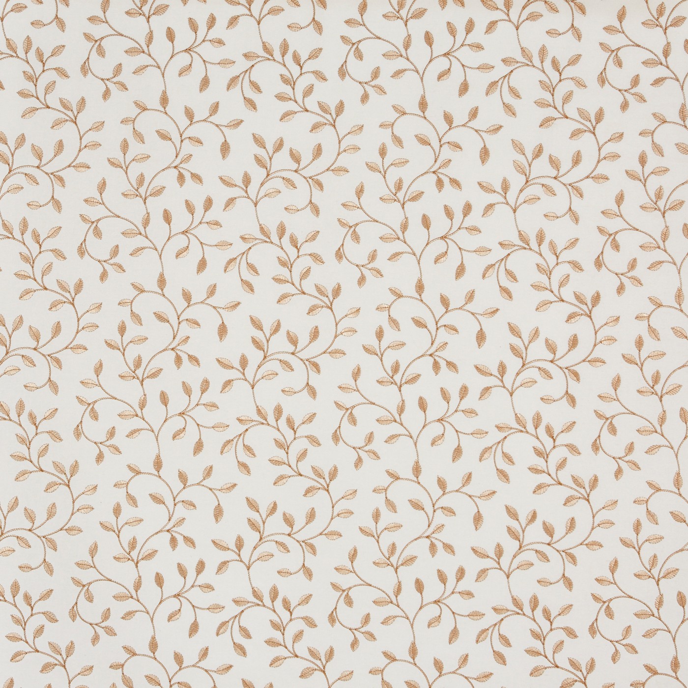 Poplar Copper