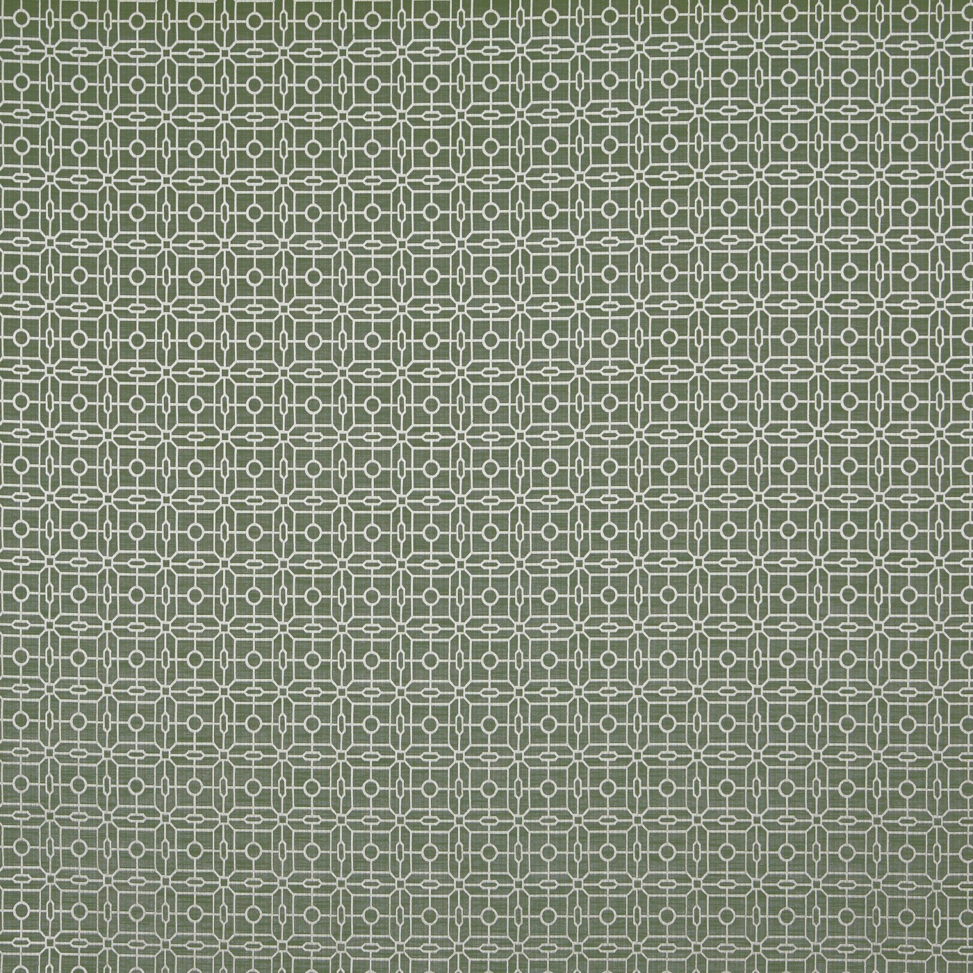 Regent Laurel