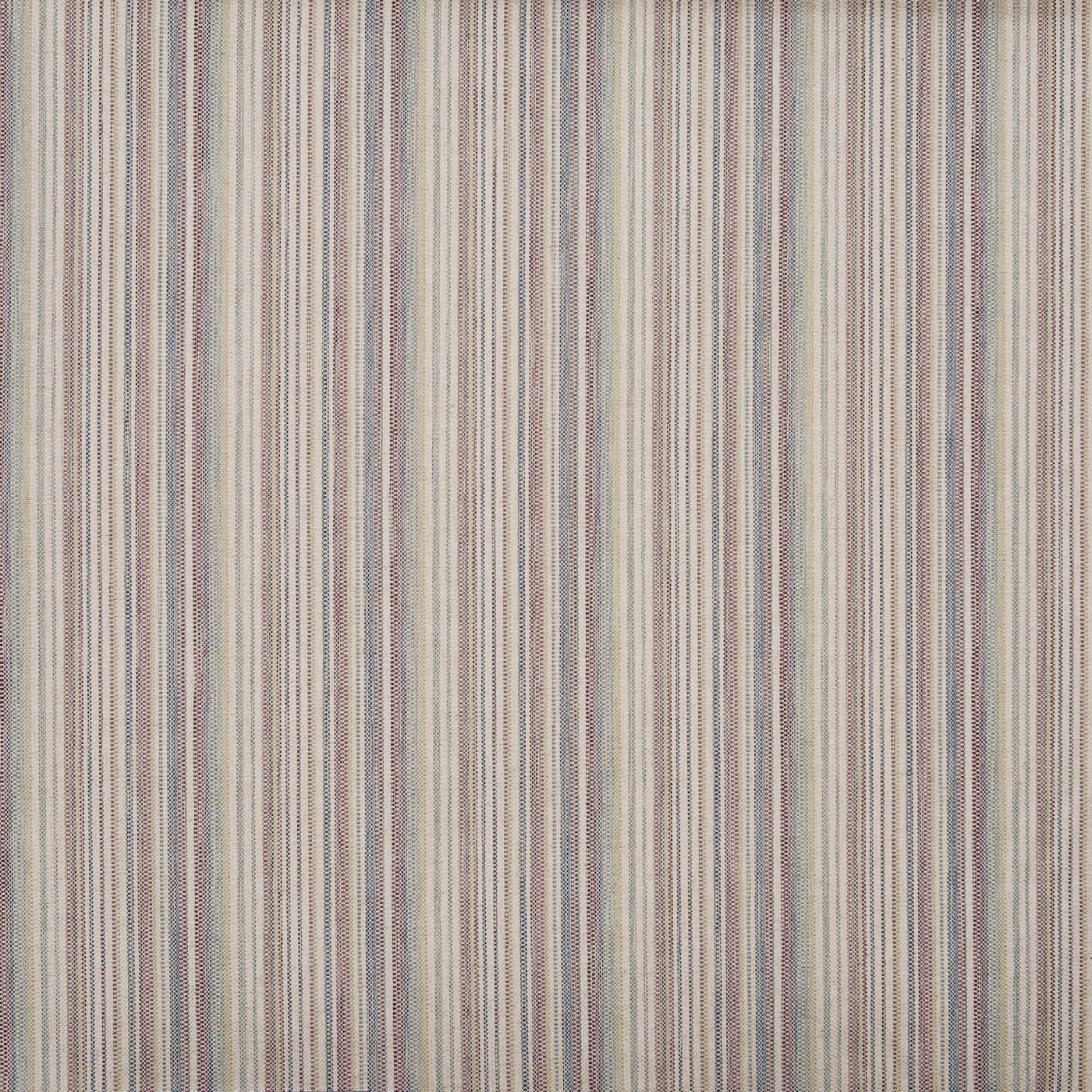 Lawn Woodrose