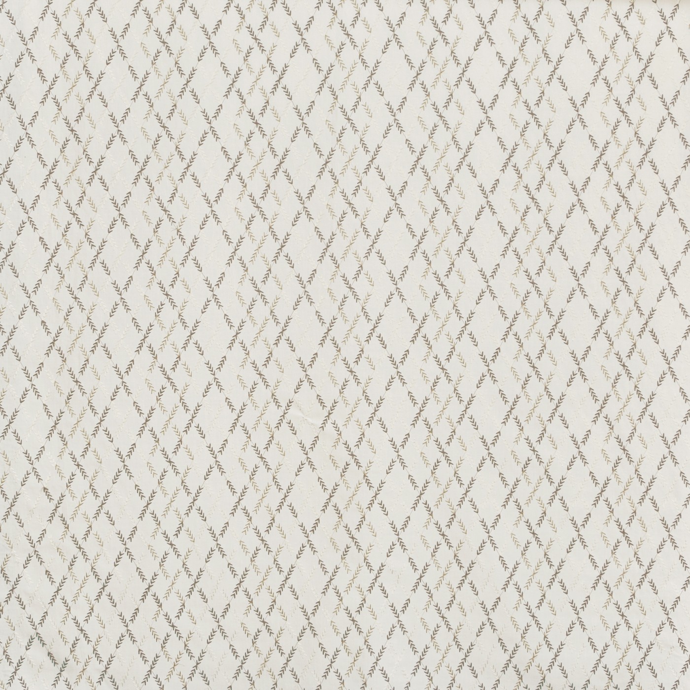 Willow Pampas