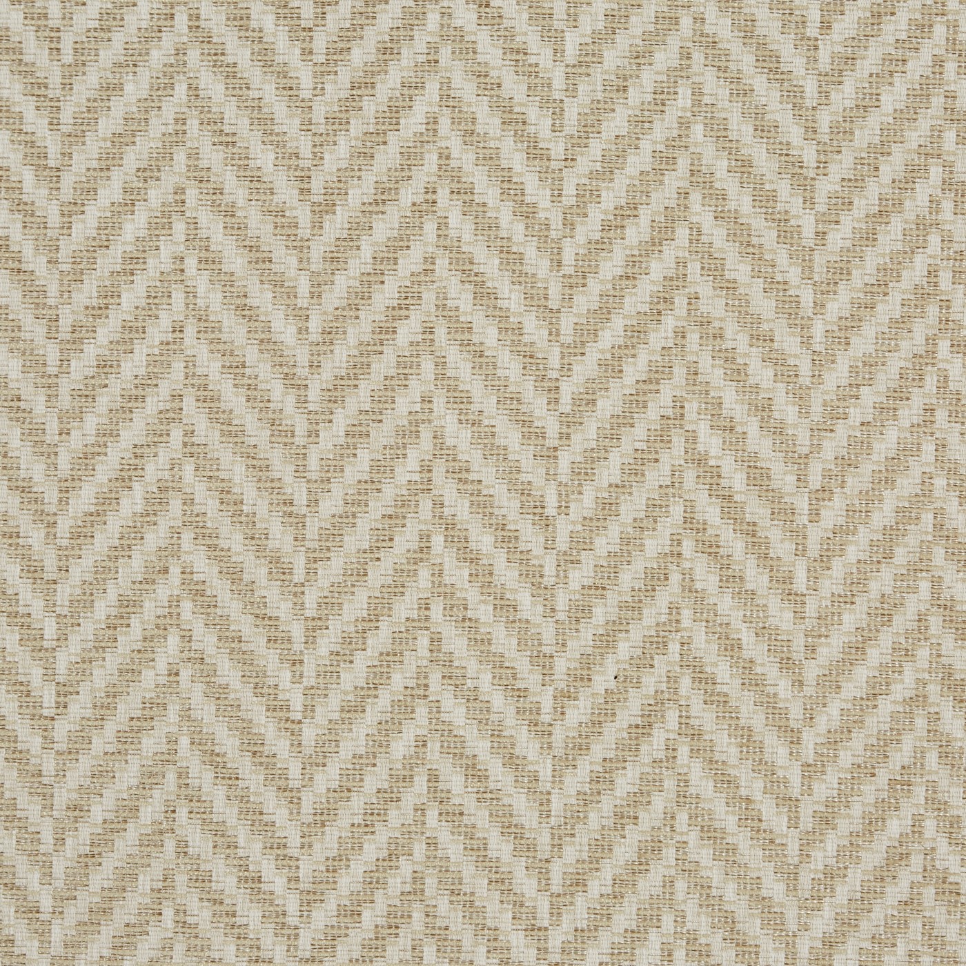 Rattan Pampas