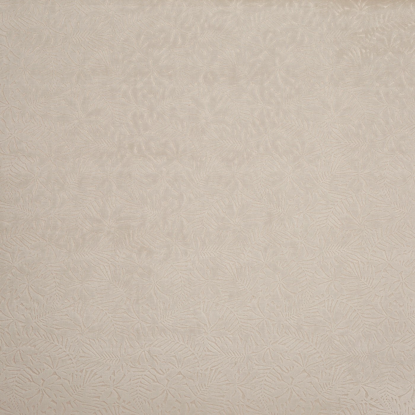 Perennial Parchment