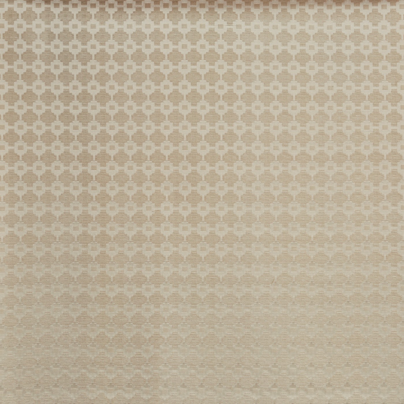 Jamila Calico (pts113)