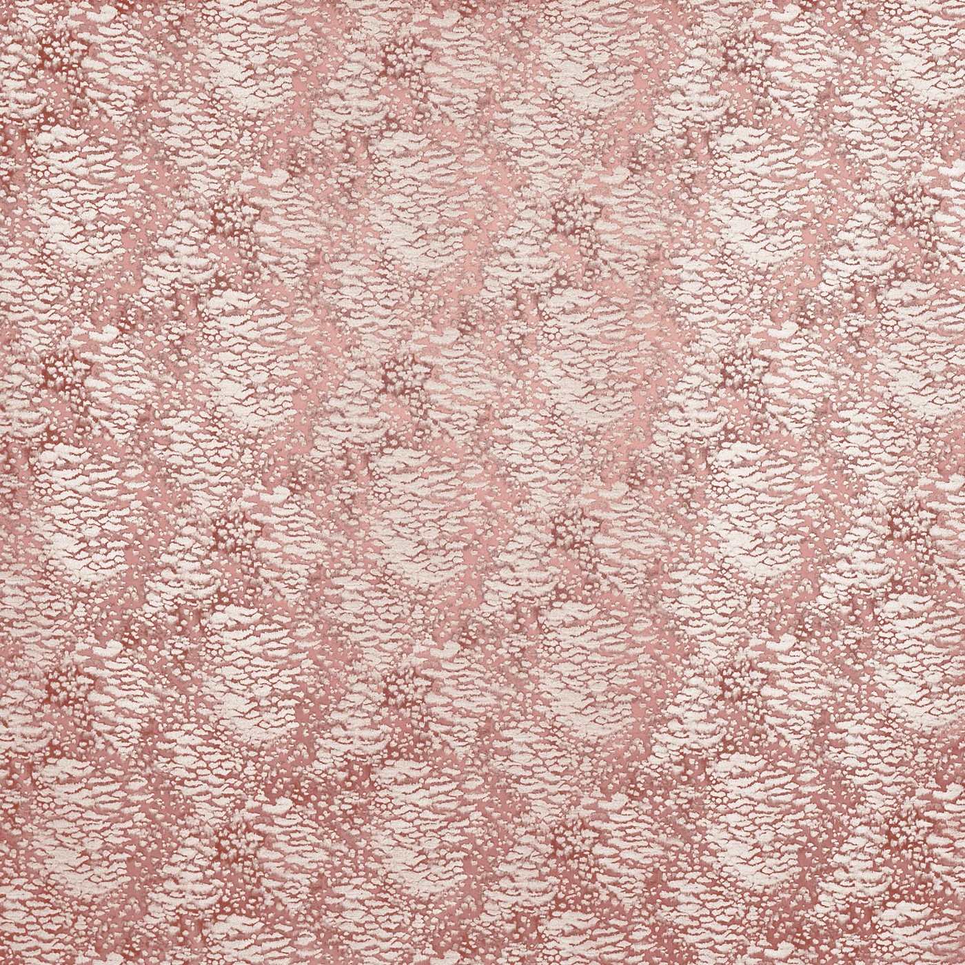 Nahla Orchid (pts113)