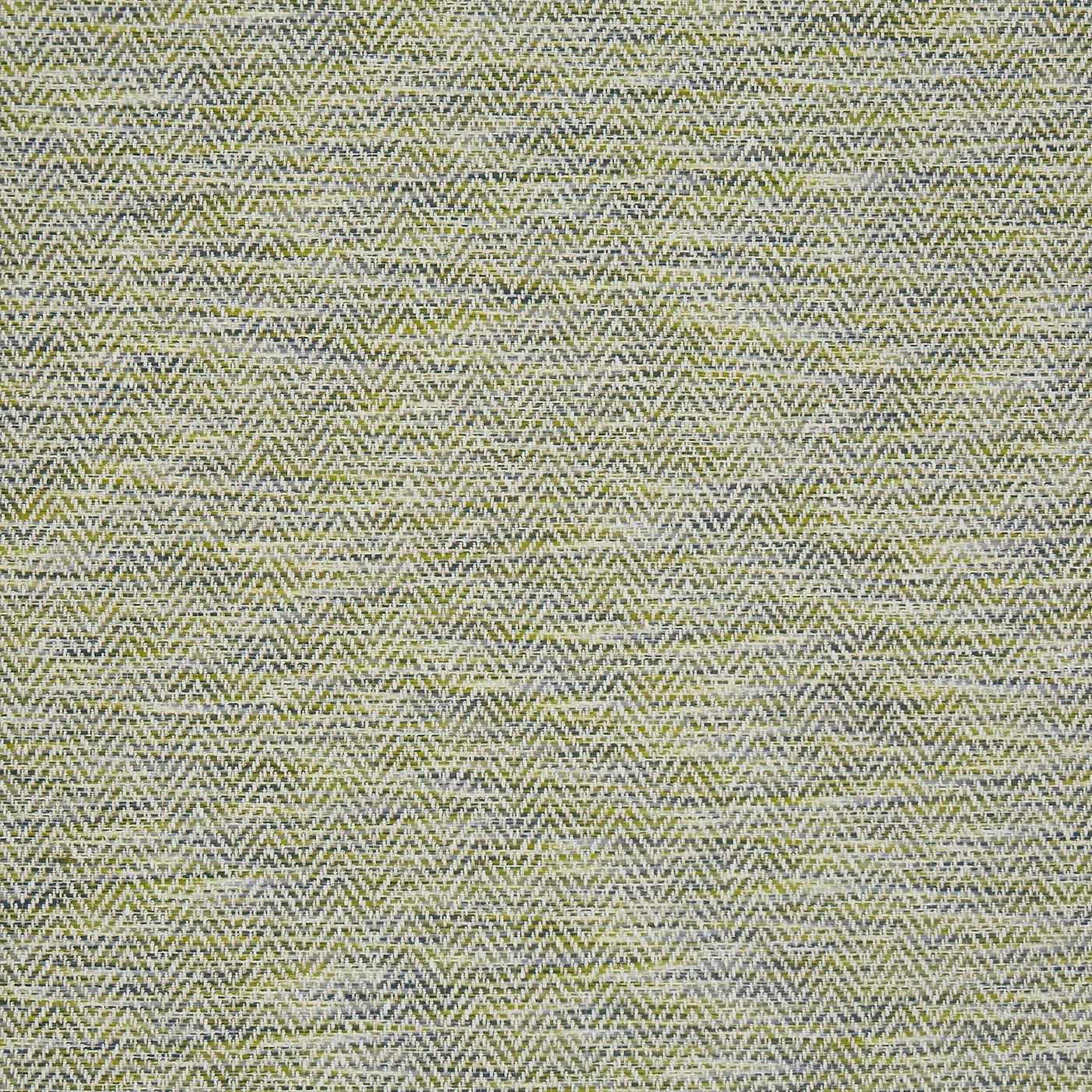 Sienna Citron
