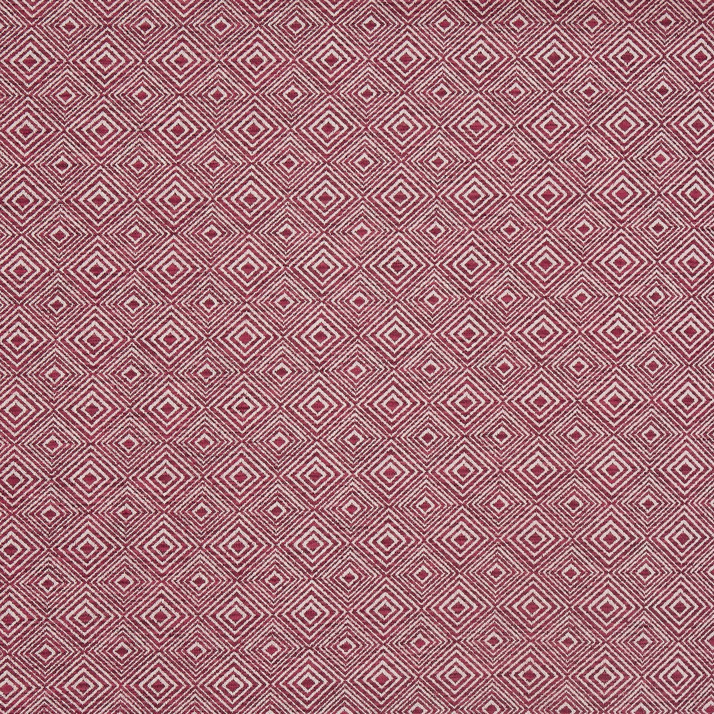 Vernazza Raspberry
