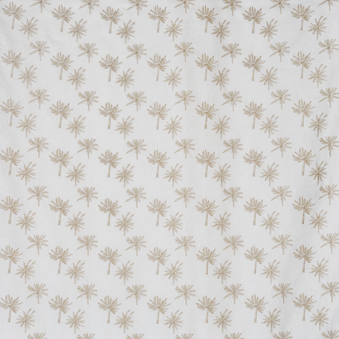 Little Palm Sand