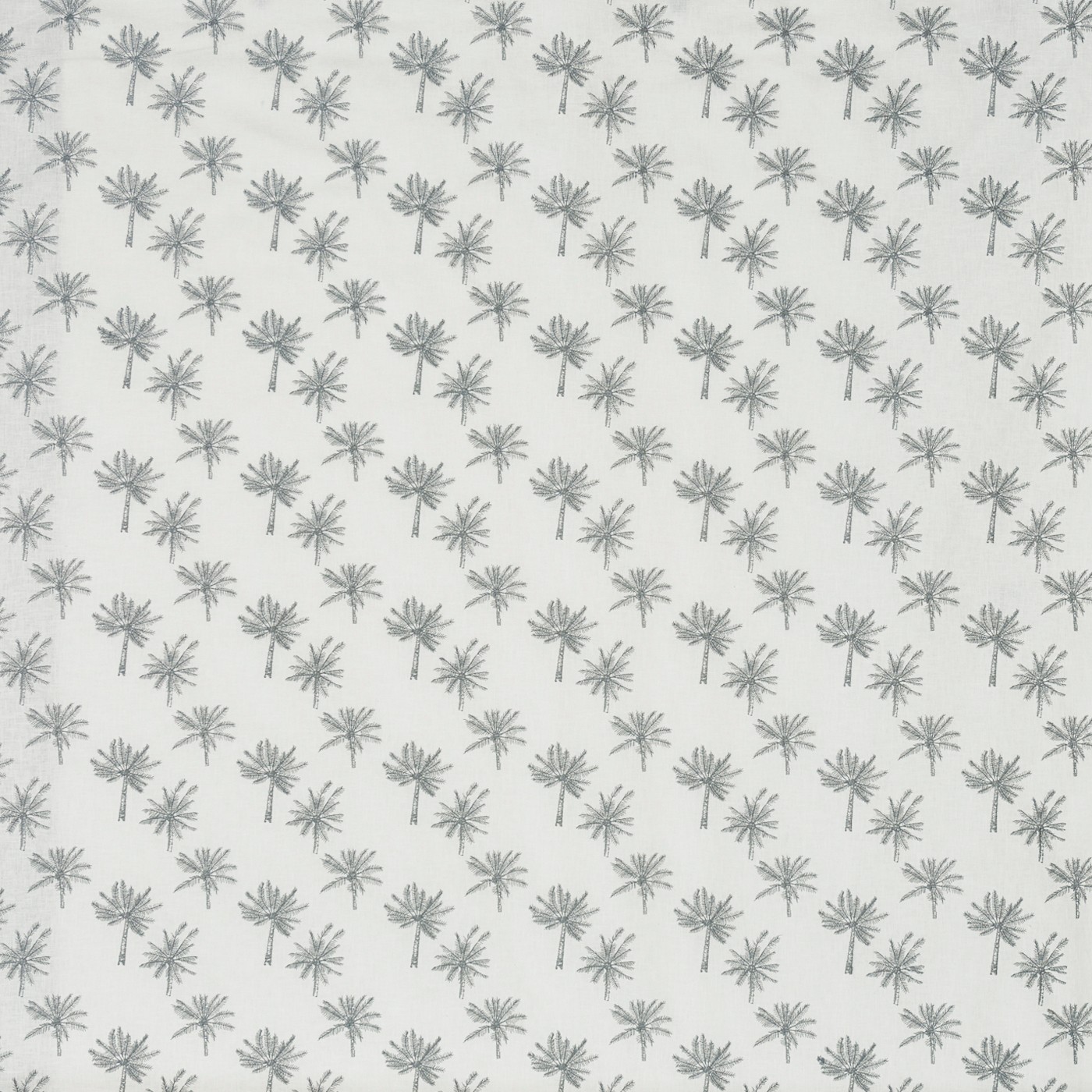 Little Palm Silver