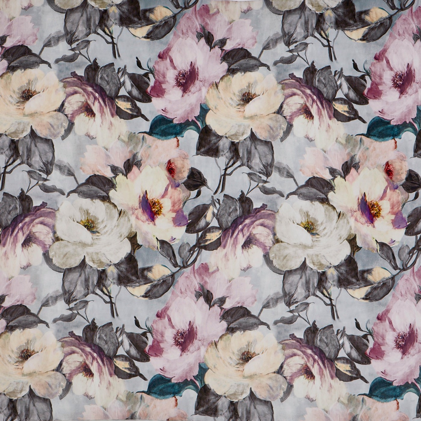 Rosa Orchid (pts104)