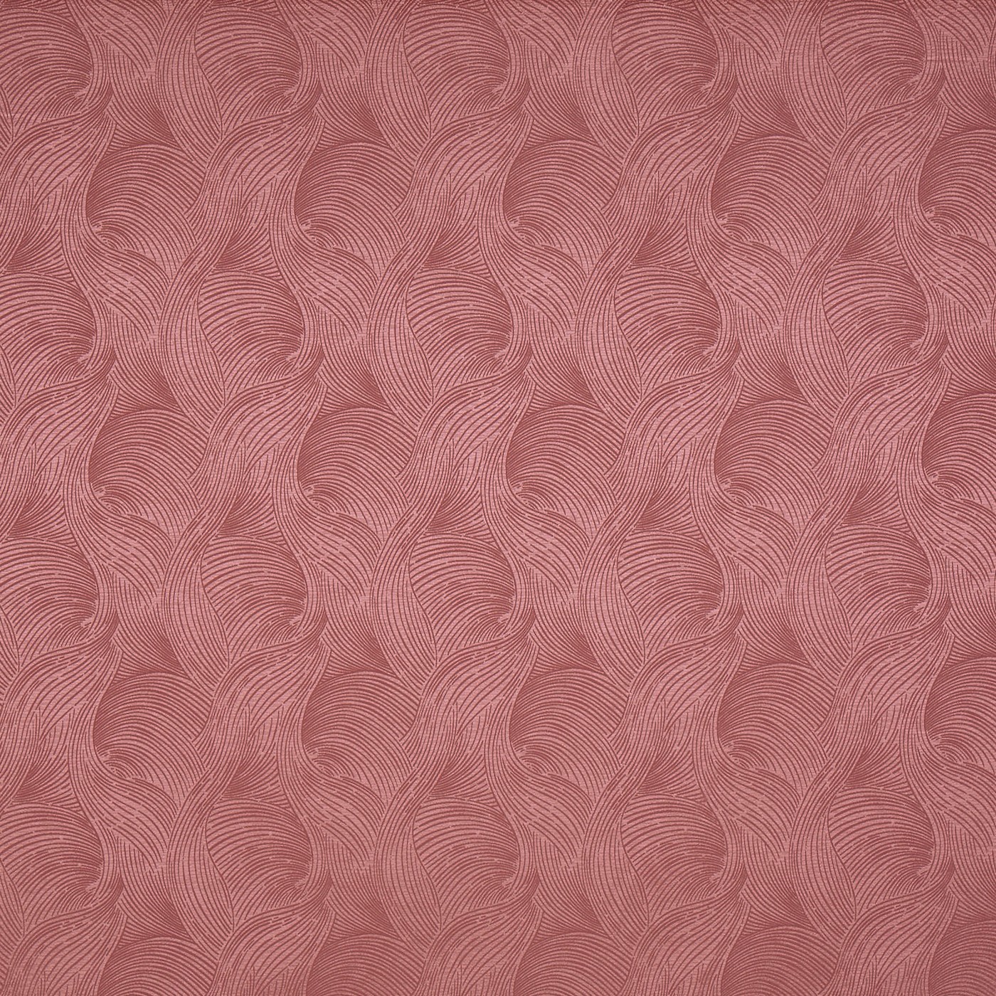 Bailey Raspberry