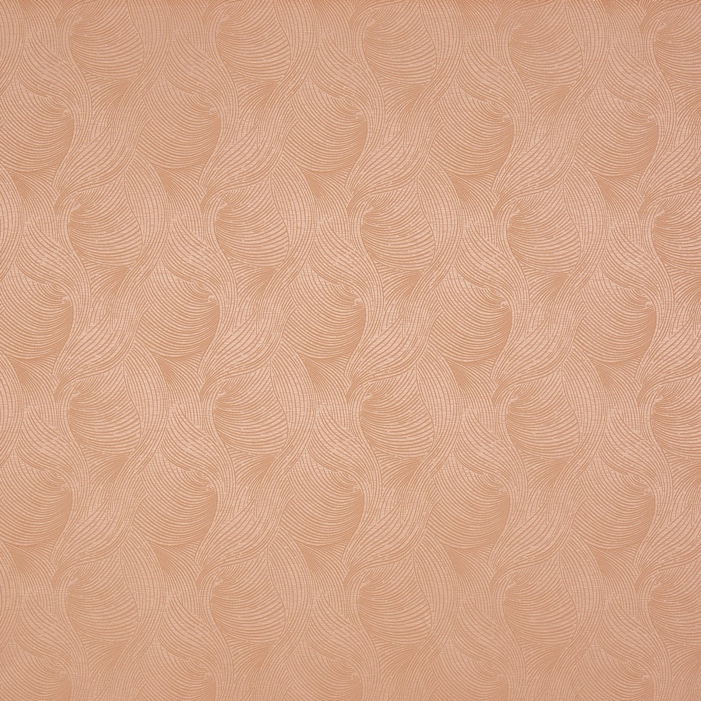 Bailey Shell