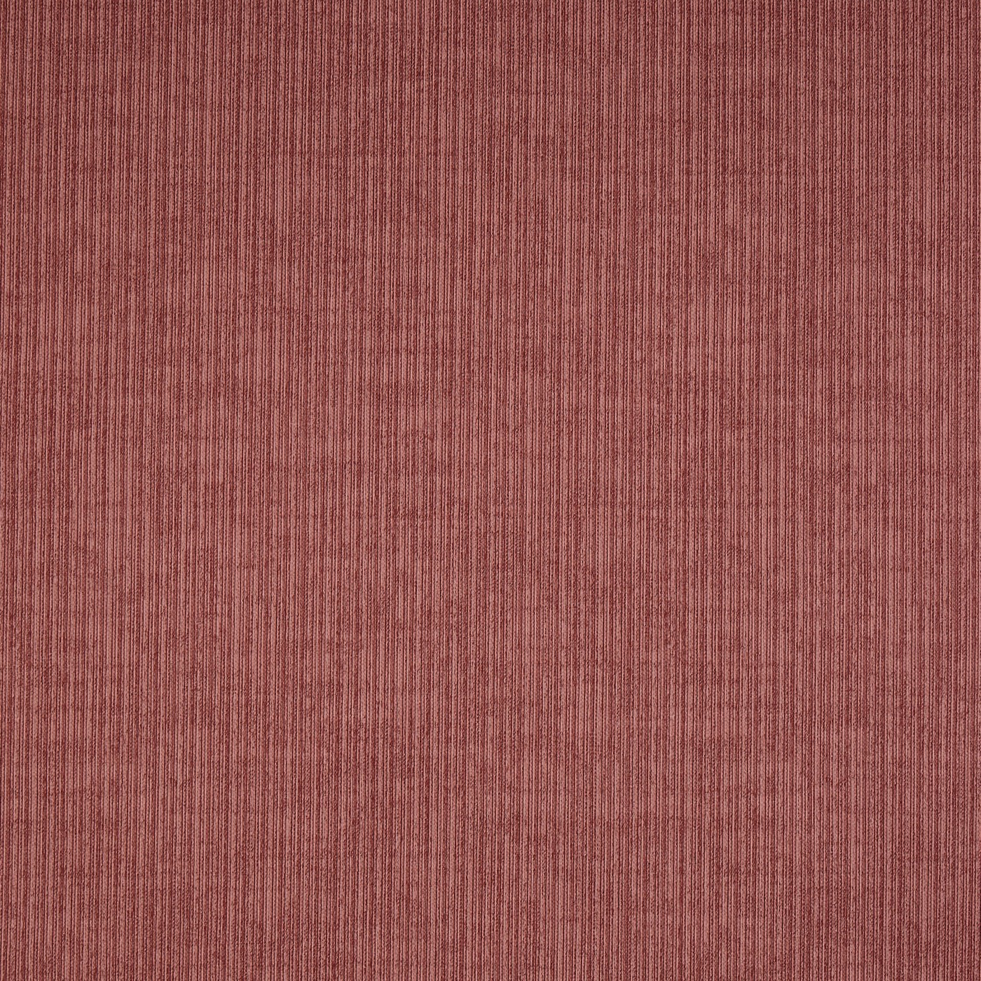 Spencer Raspberry