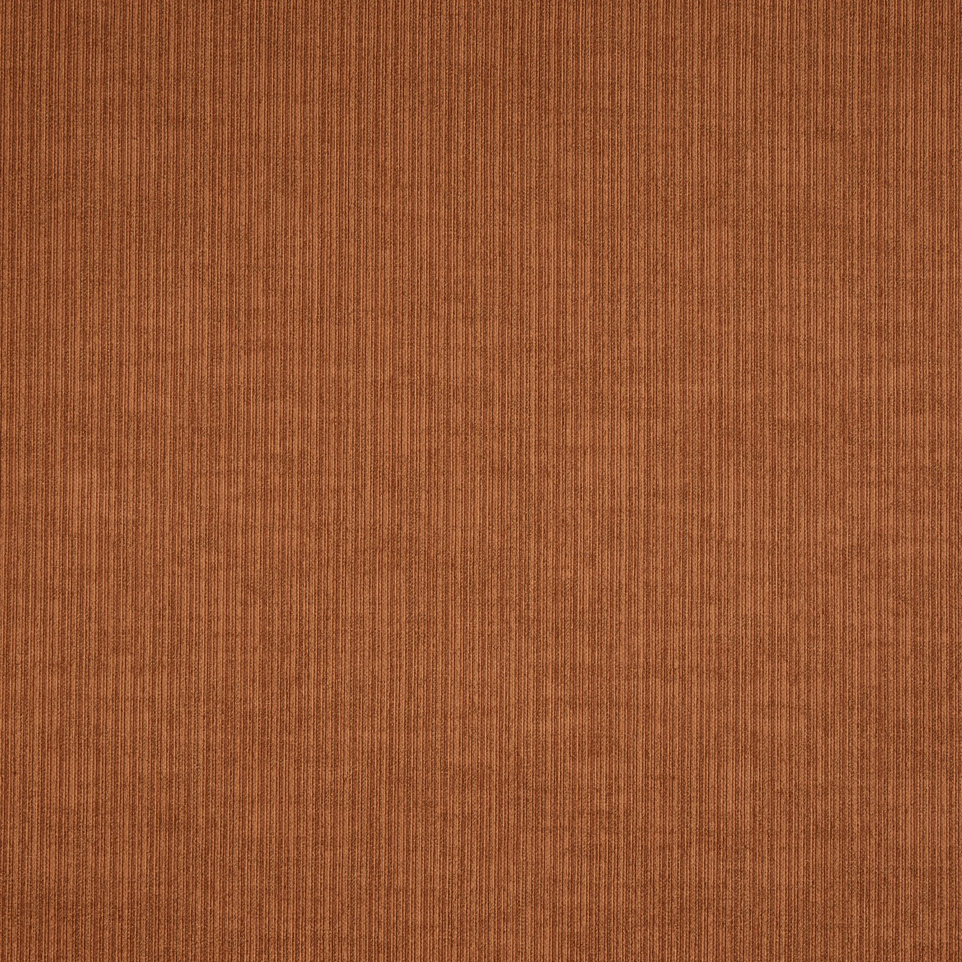Spencer Paprika