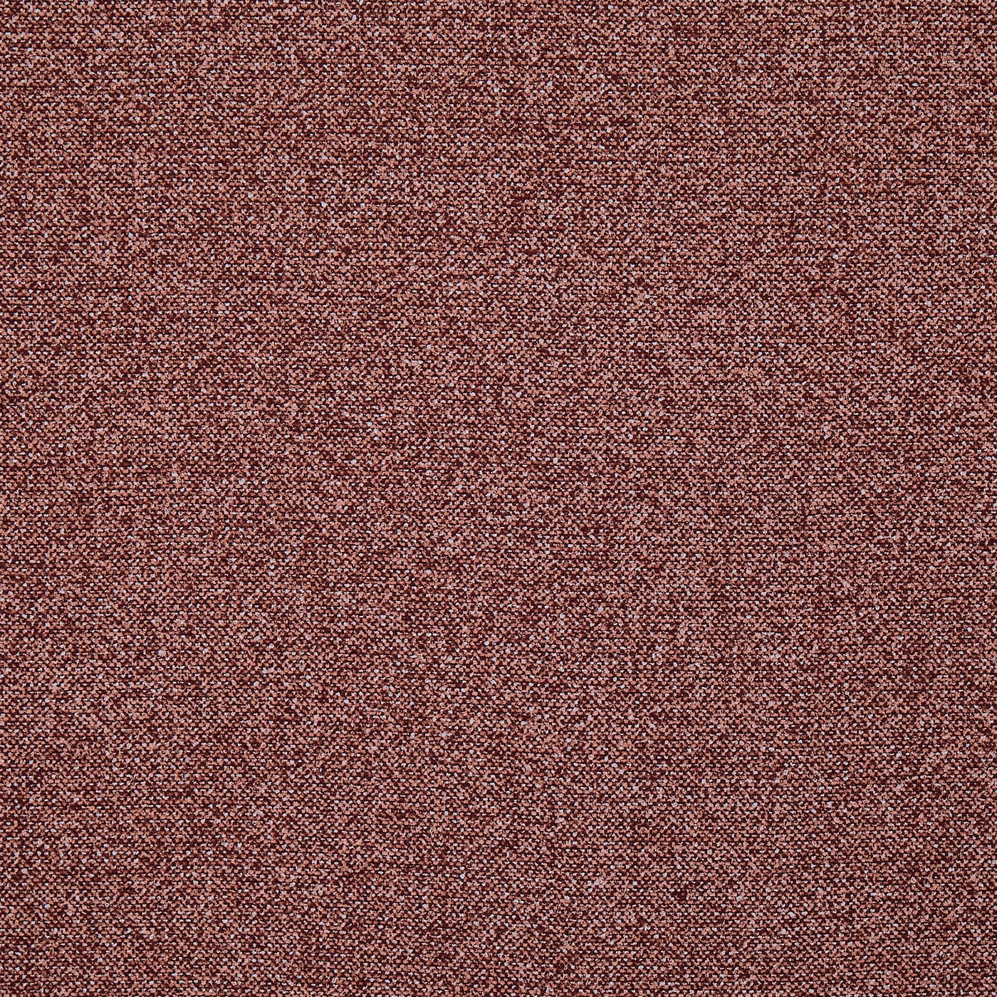 Robertson Raspberry
