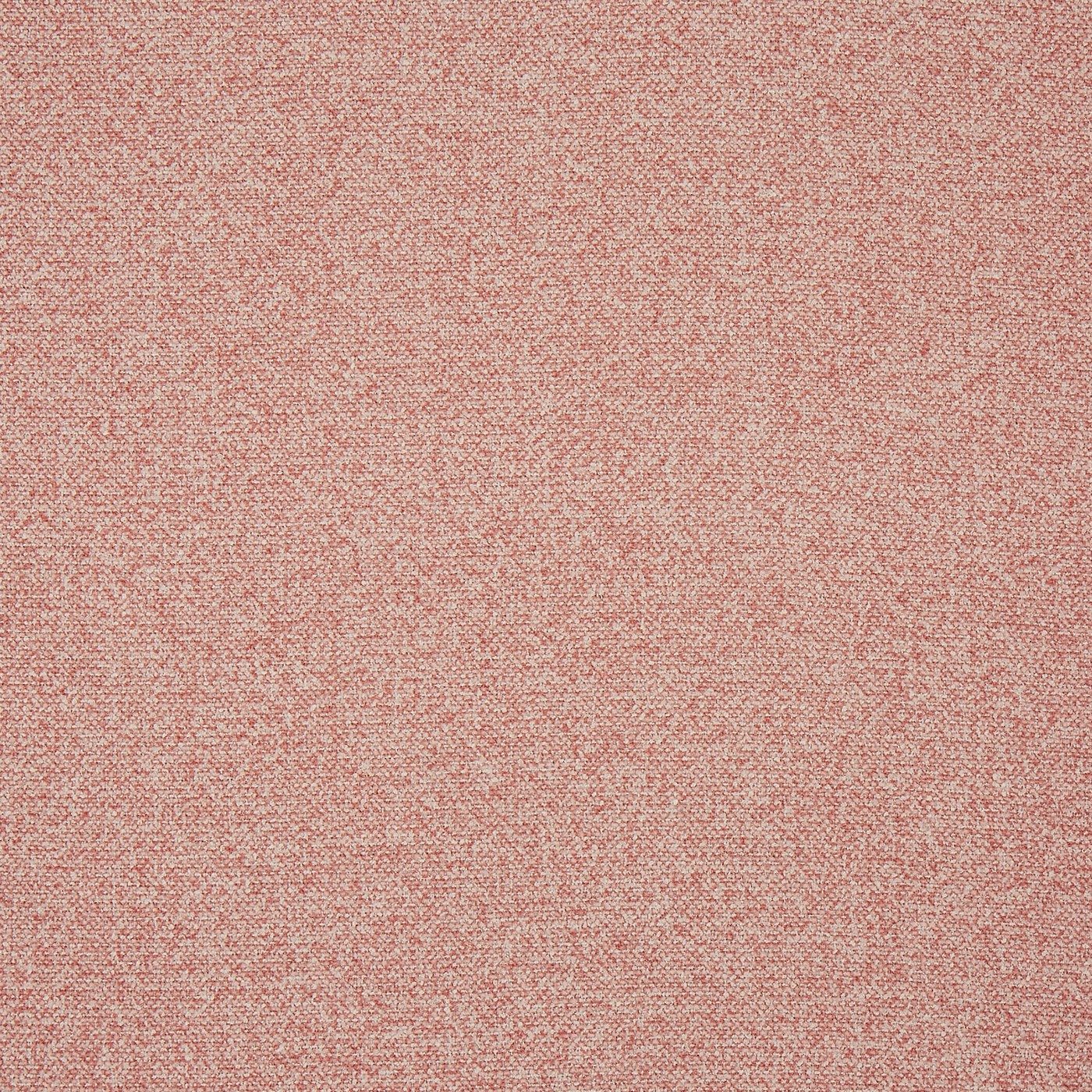 Robertson Petal