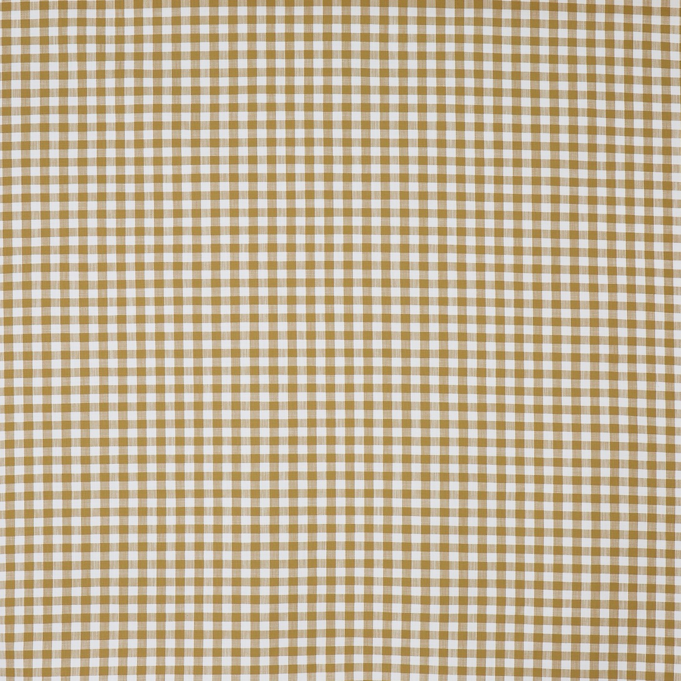 Arlington Honey (pts116)