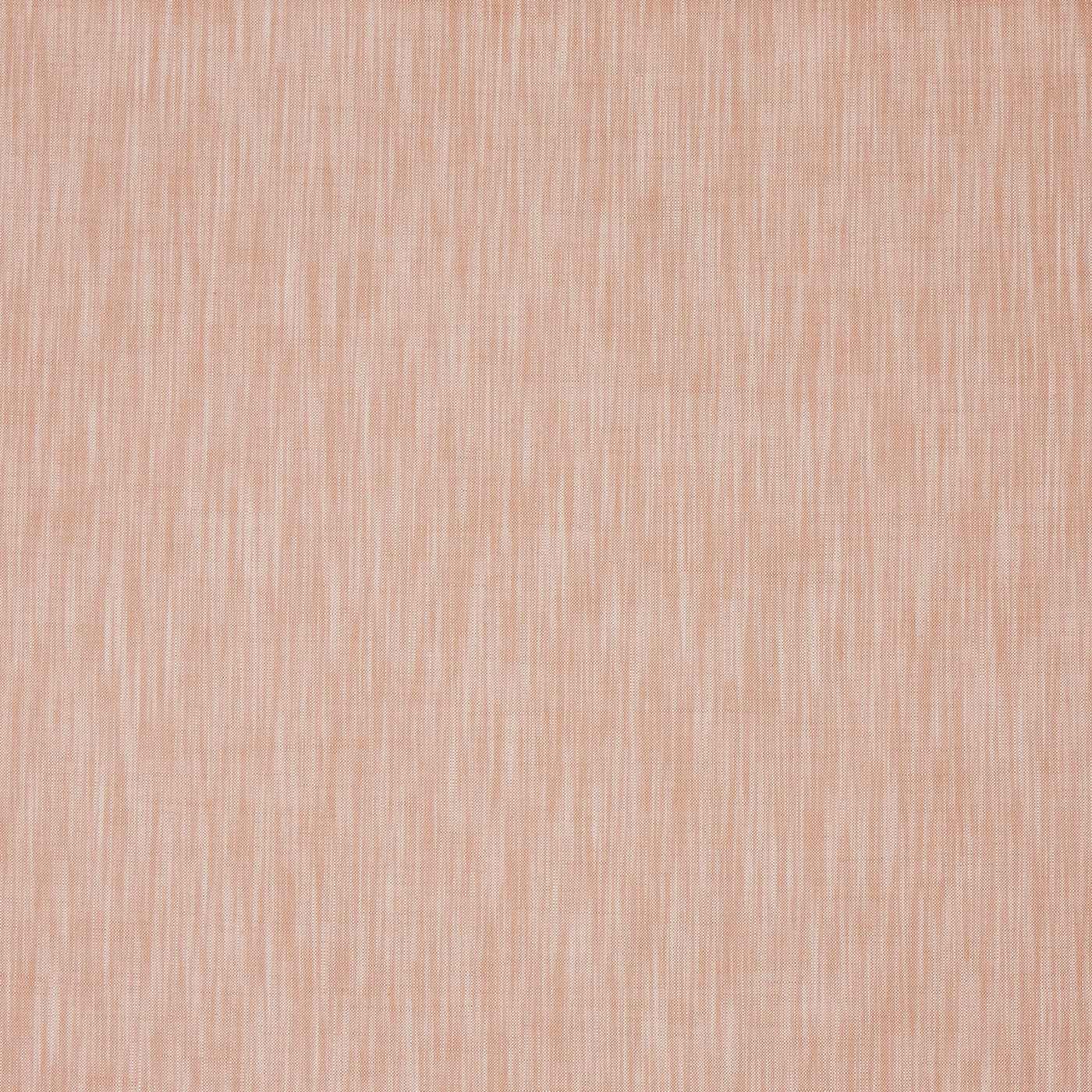 Burford Apricot