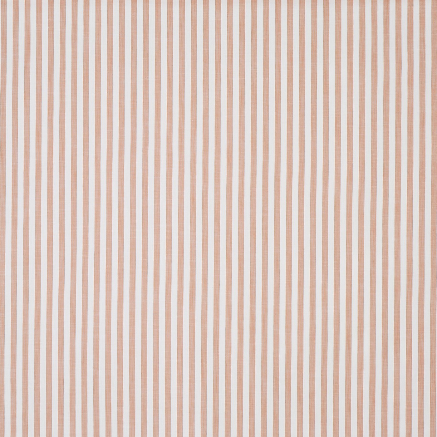 Witney Apricot (pts116)